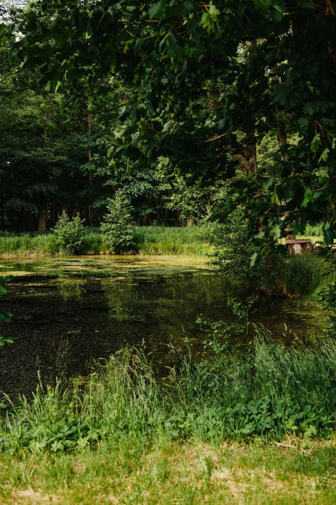 Folwark Wielka Wieś - Pałac pod Dębem