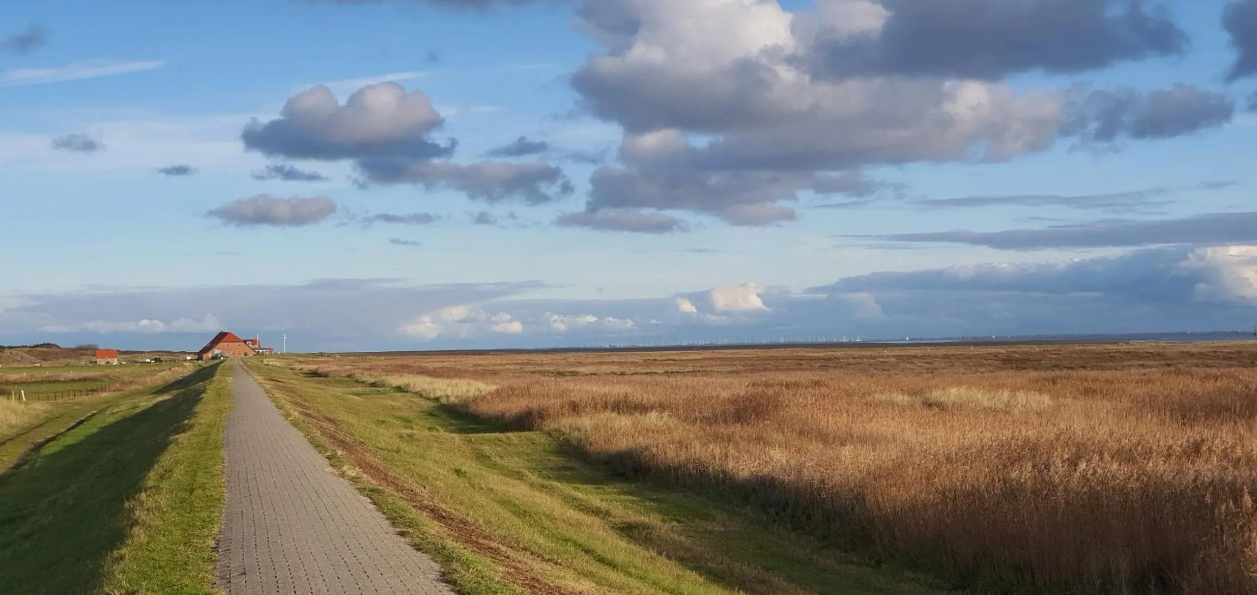Natural landscape in Heimathafen Juist