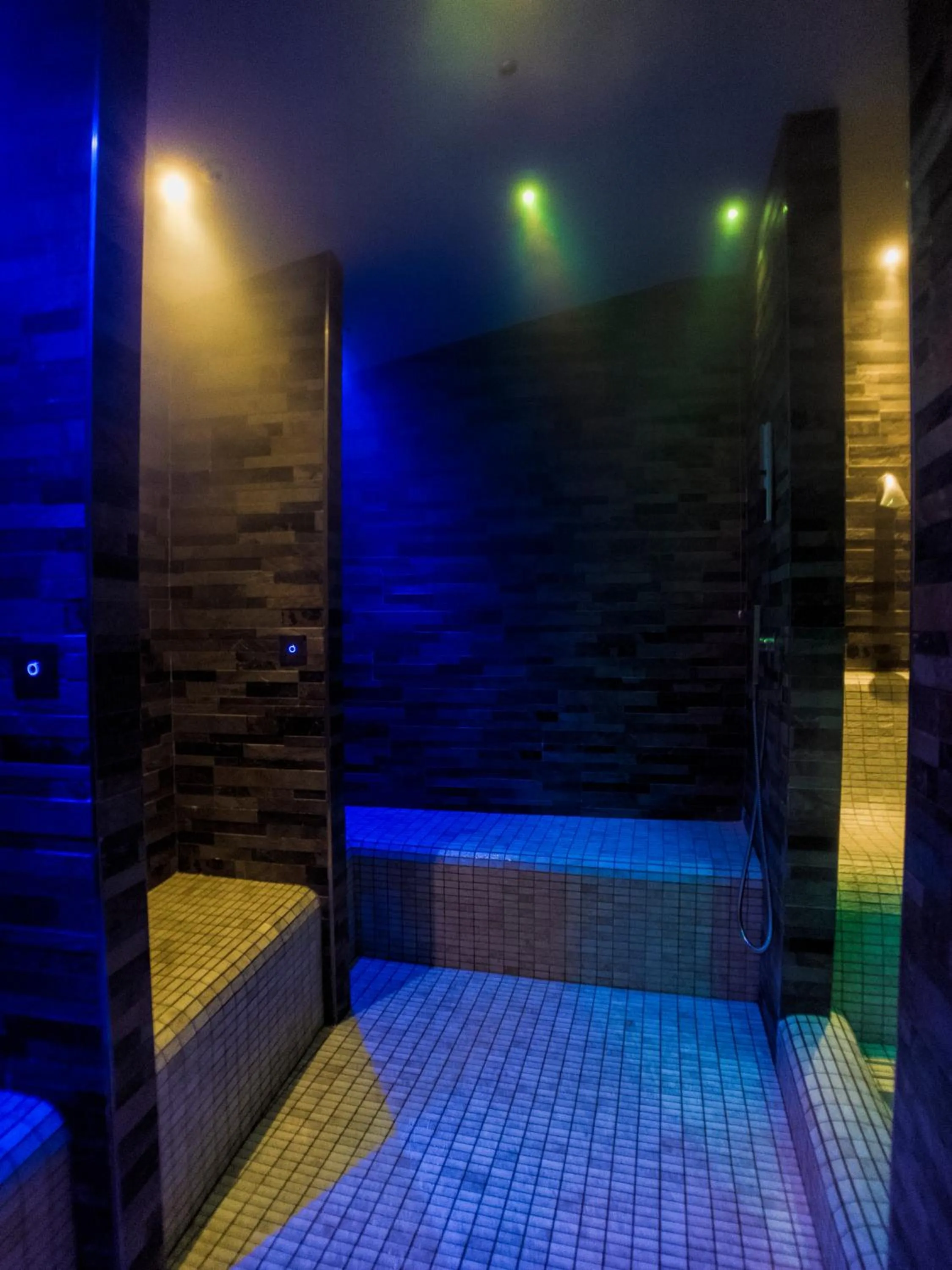 Sauna in Hotel Aurora Terme