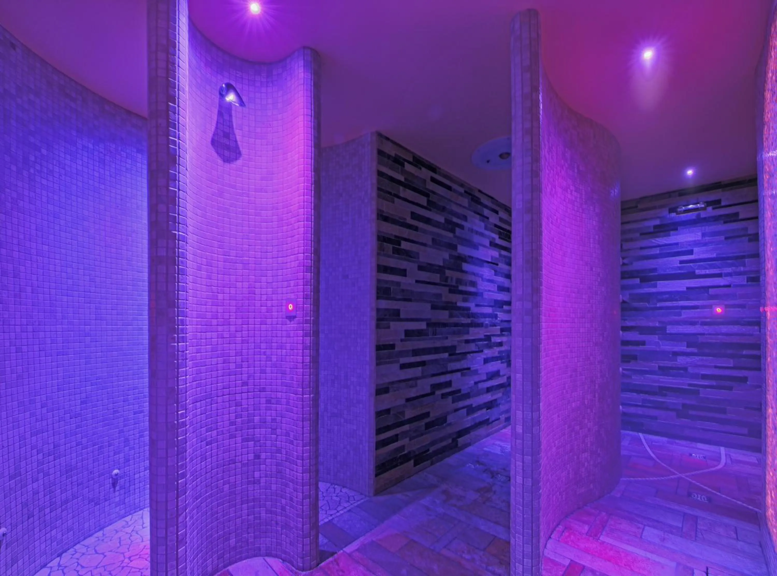 Sauna in Hotel Aurora Terme