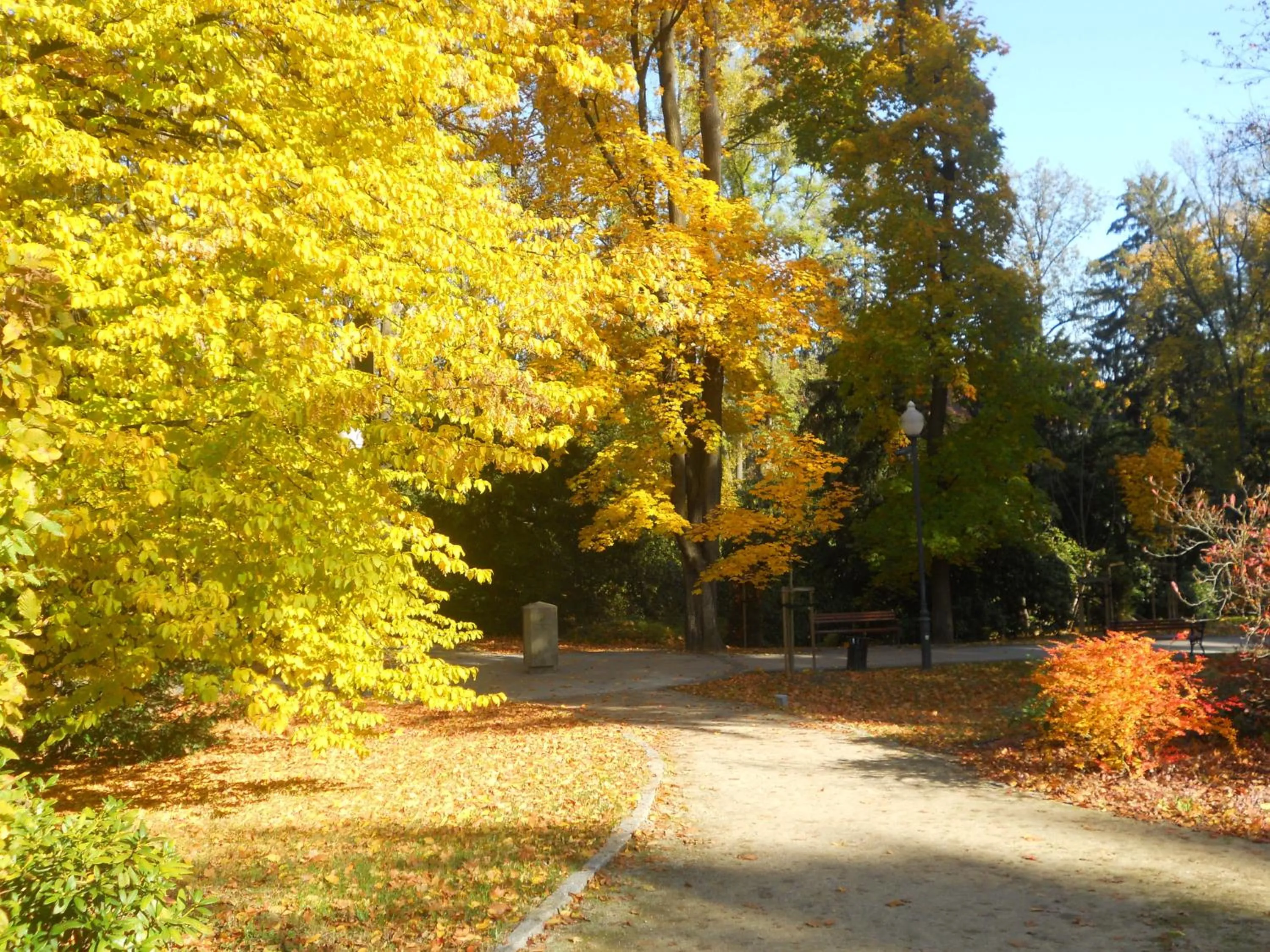 Natural landscape in Villa Lessing