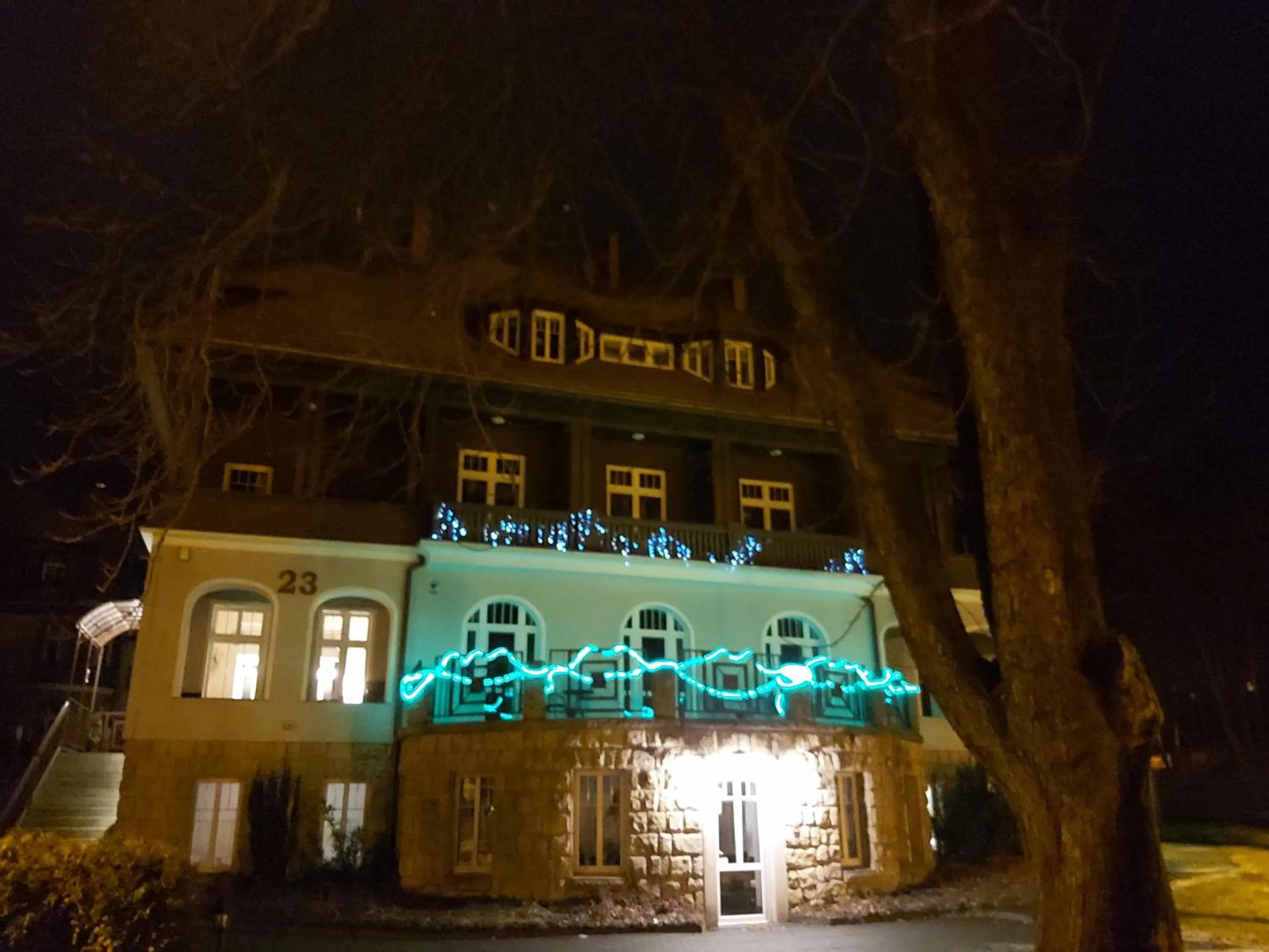 Winter in Villa Lessing