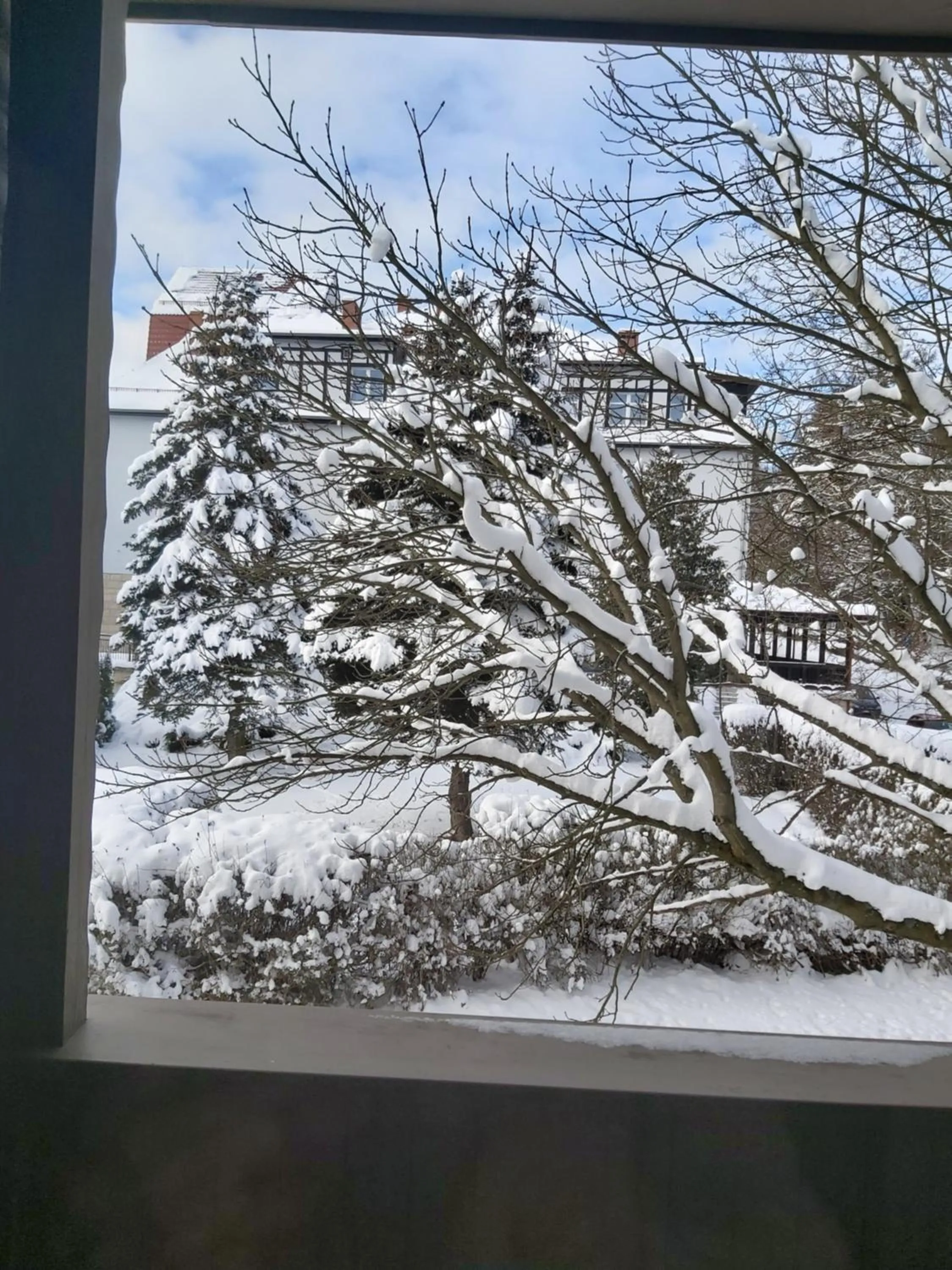 Balcony/Terrace in Villa Lessing
