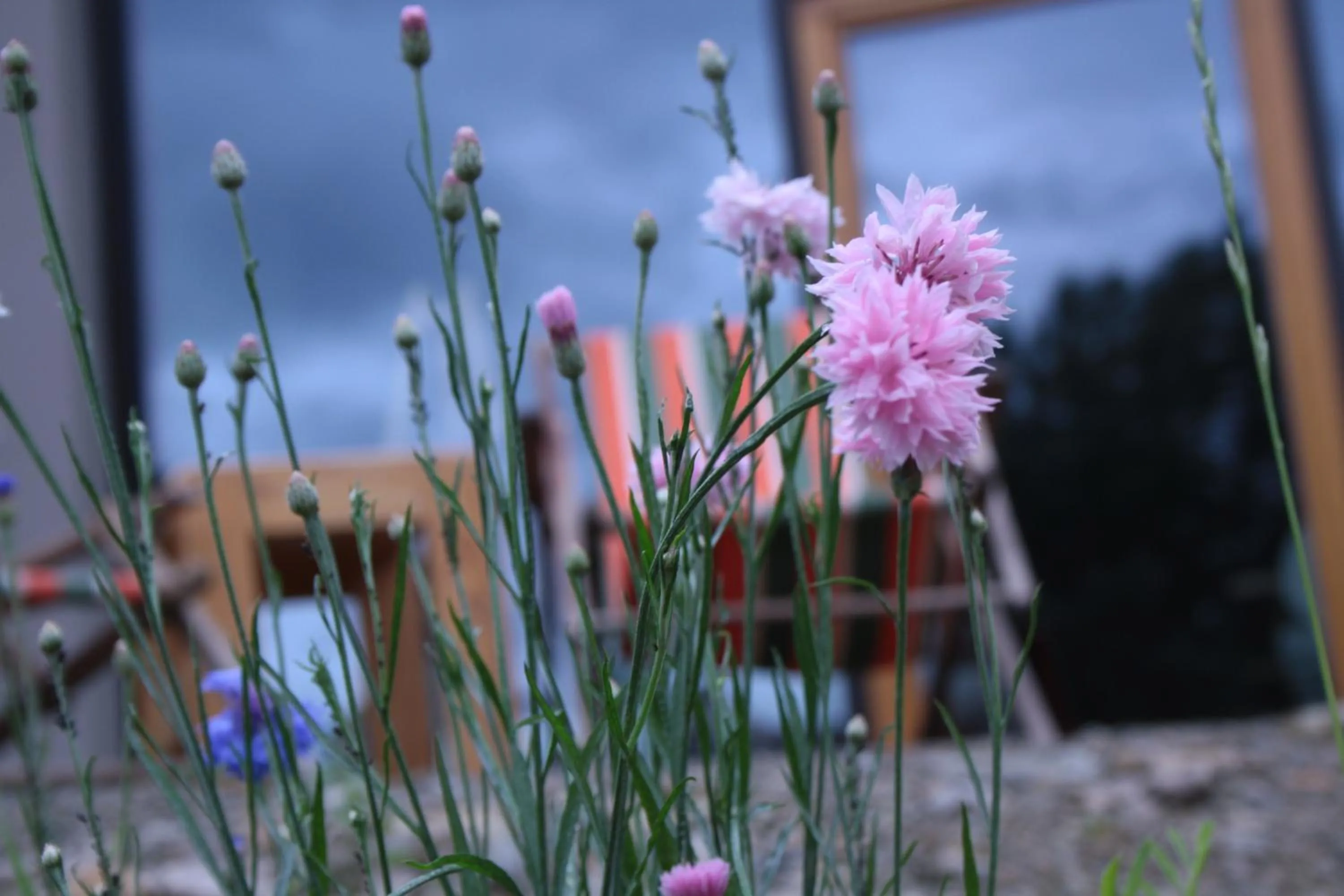 View (from property/room) in veloInn Hotel Bad Berka im Weimarer Land