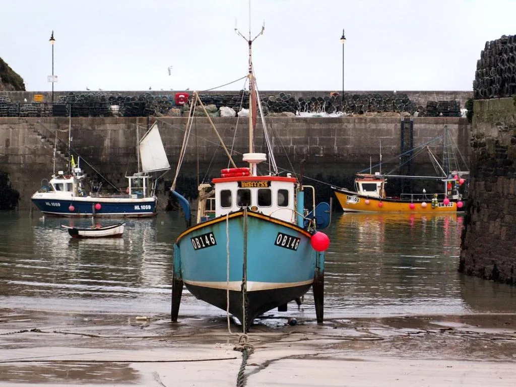 Natural landscape in Harrington Flats