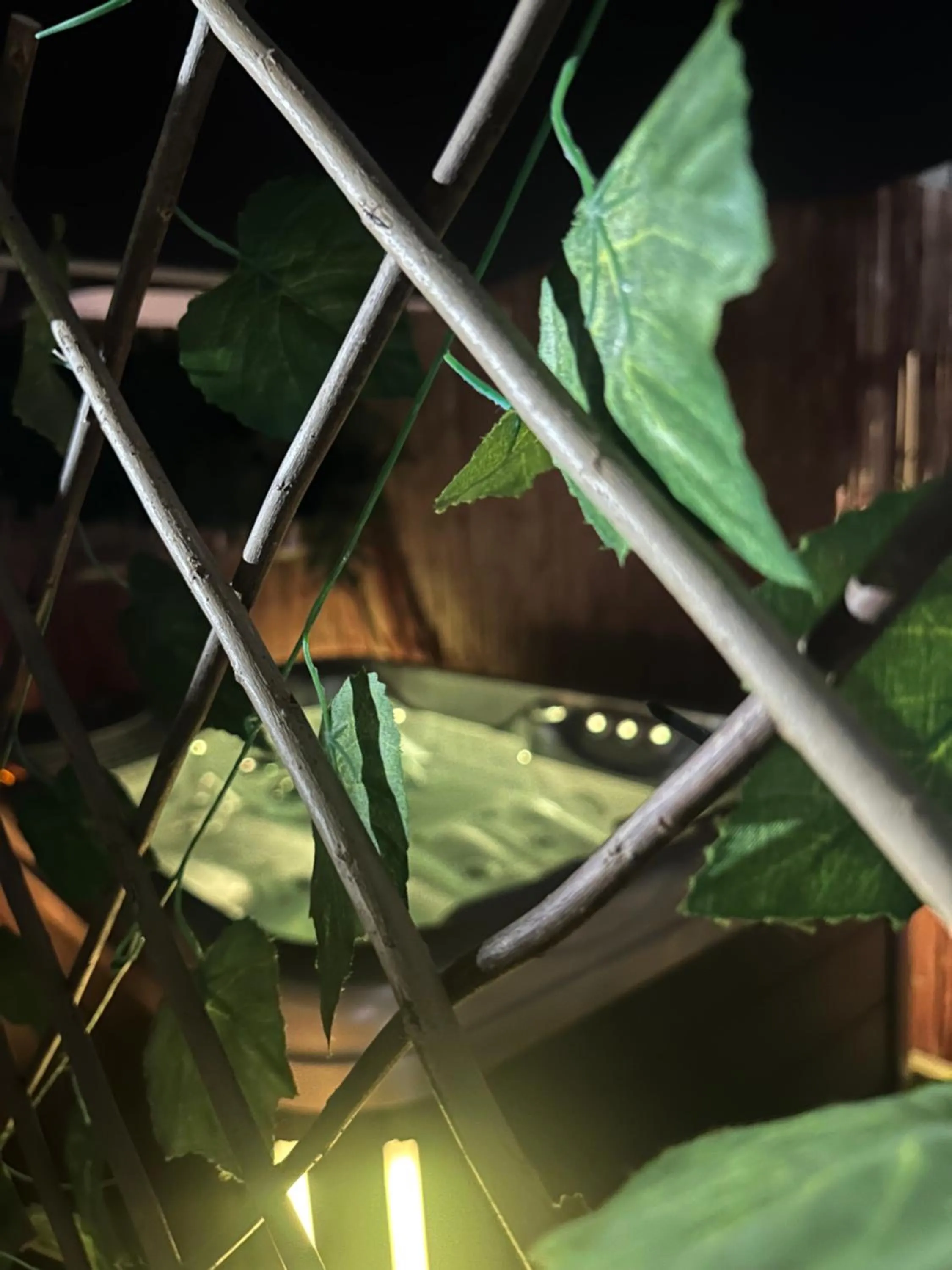 Night in Amdar boutique