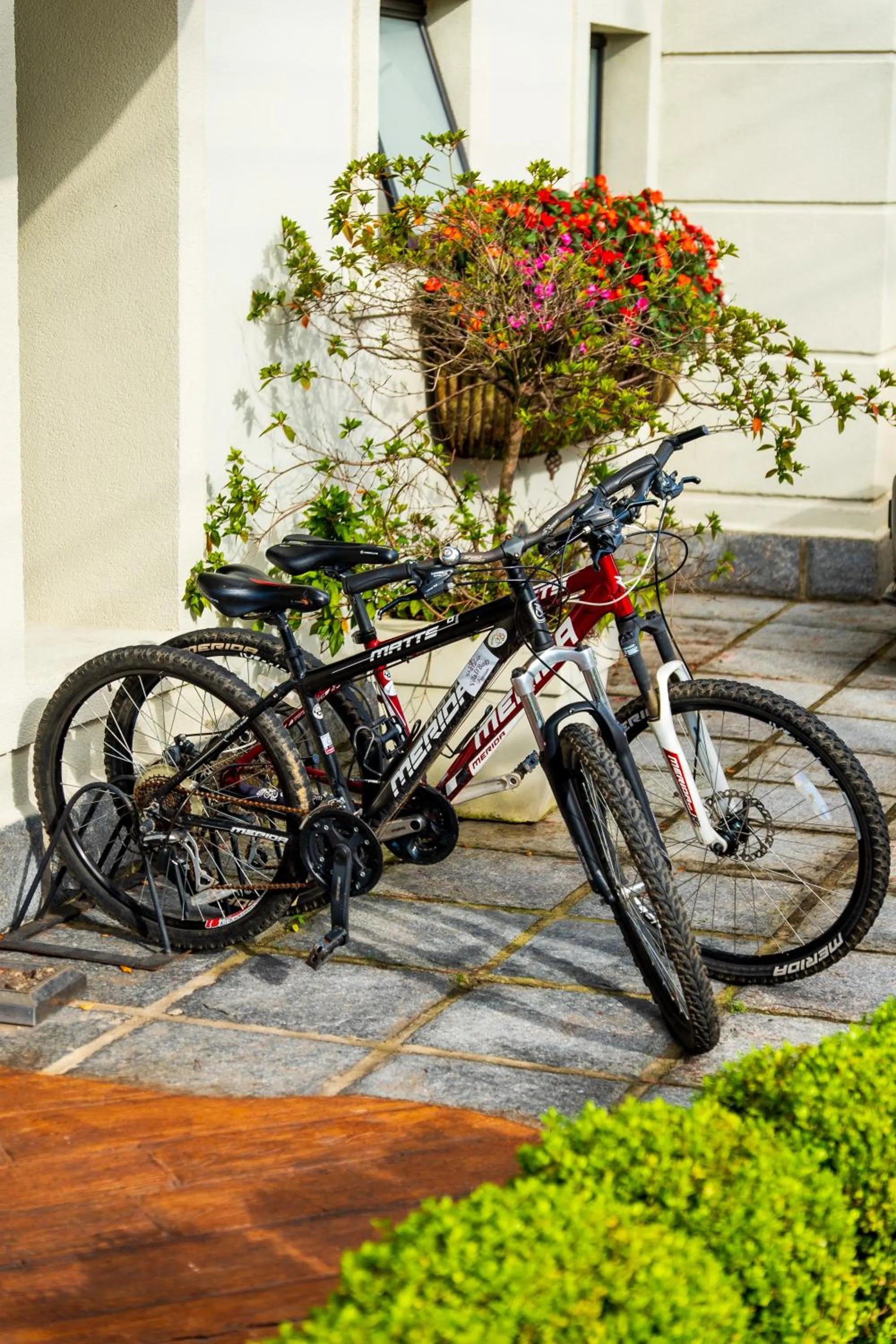 Cycling in Pousada D'Biagy Premium