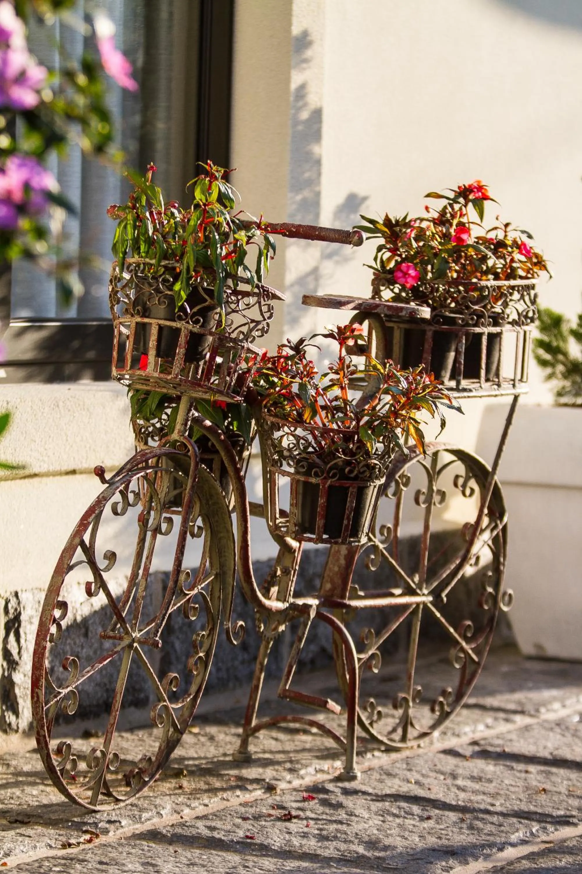 Decorative detail in Pousada D'Biagy Premium