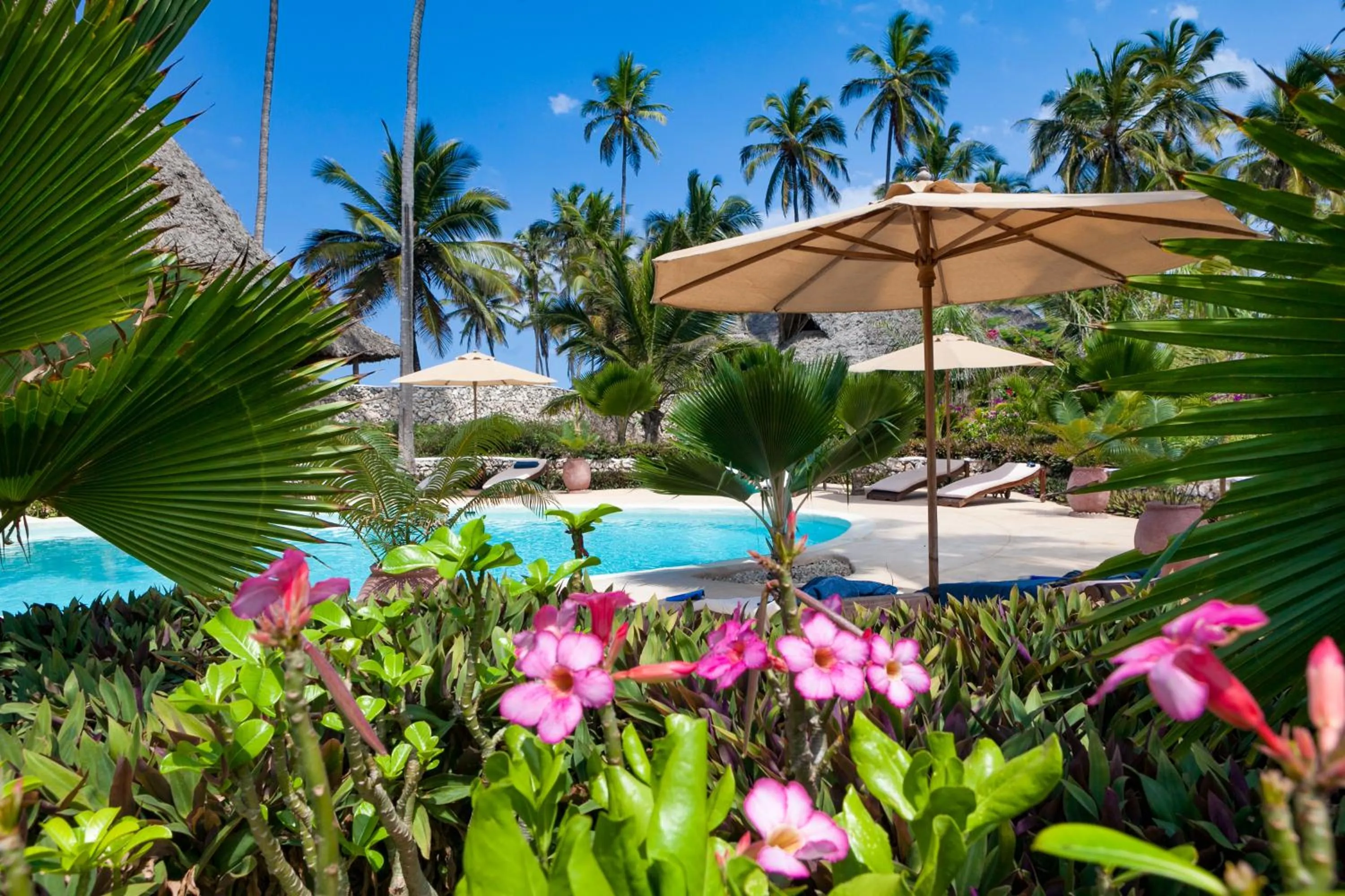 Pool view in SeVi Boutique Hotel