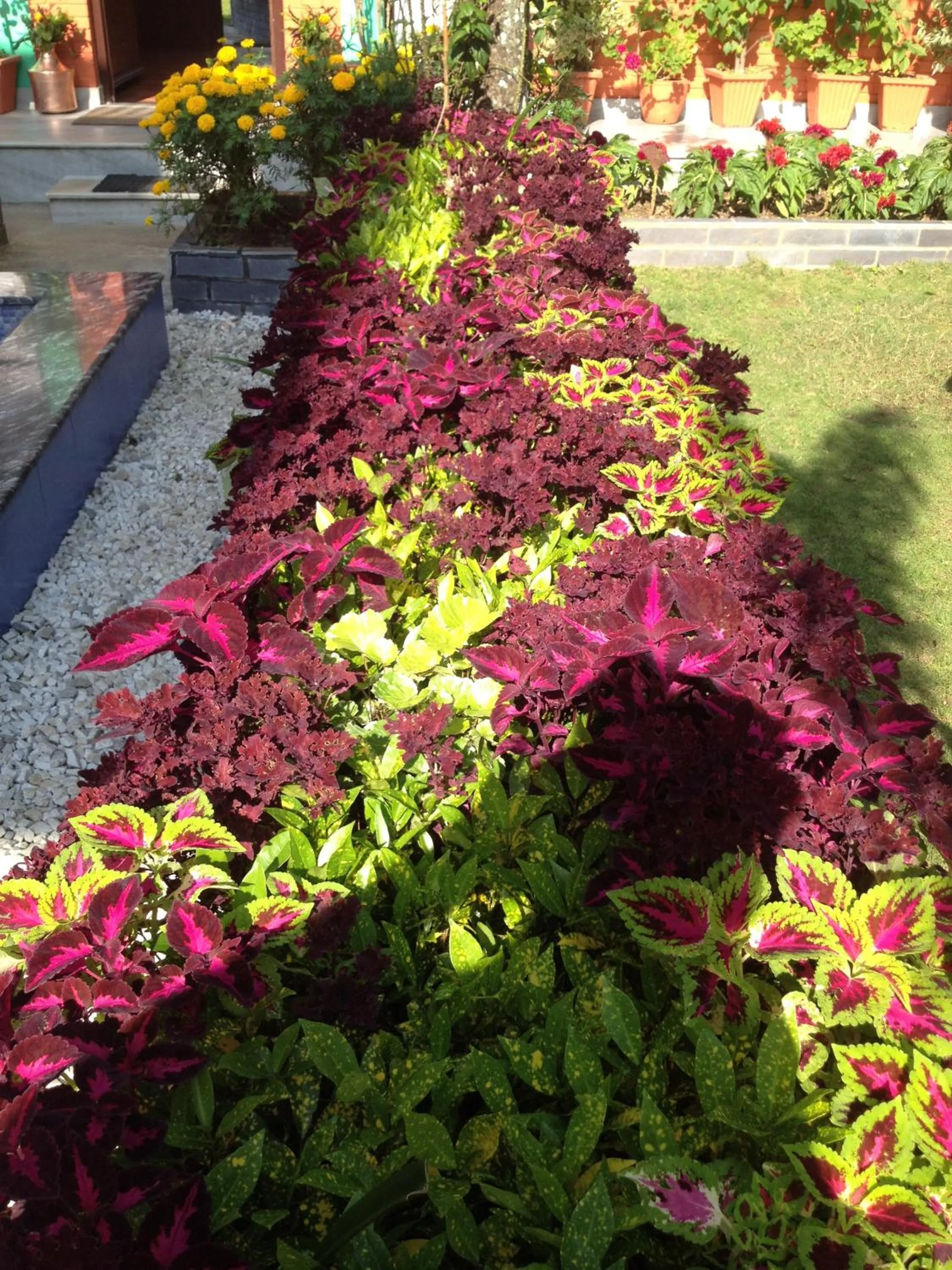 Garden view in New Pokhara Lodge - Pokhara Lakeside