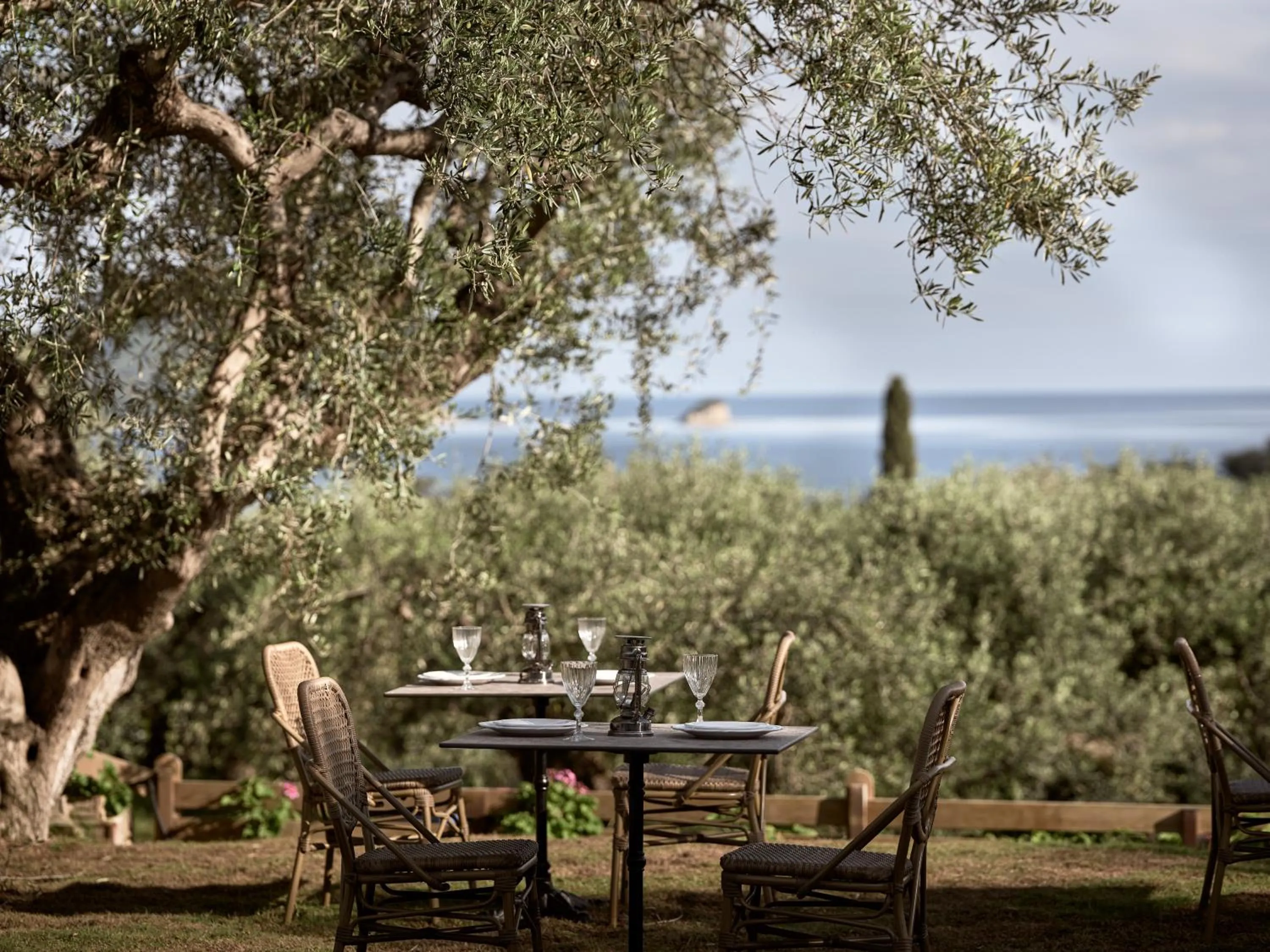 Restaurant/places to eat in Leeda's Village