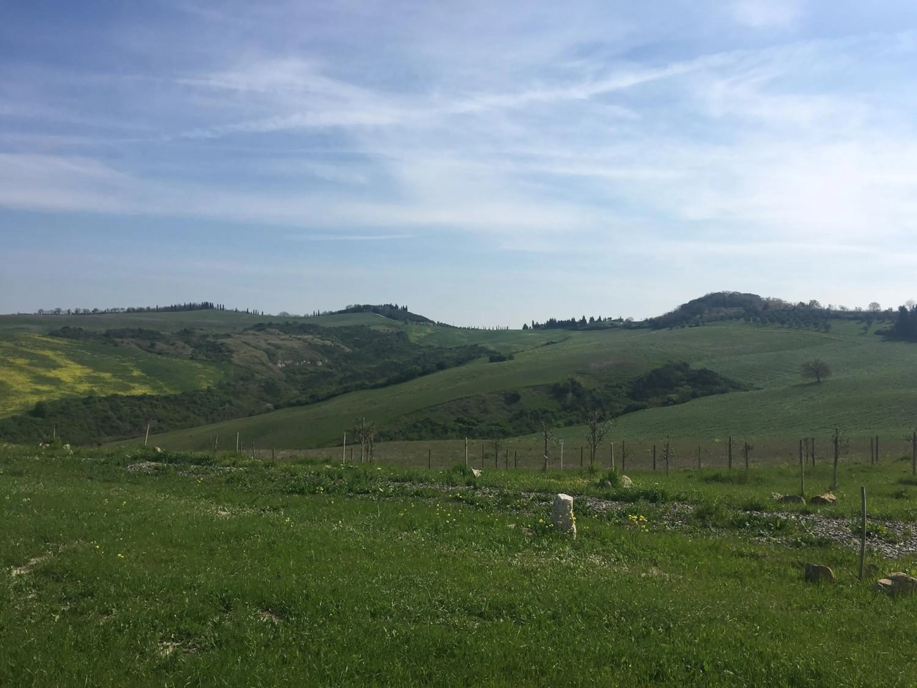 Cordella In Valdorcia Truffle and Olive Oil Resort