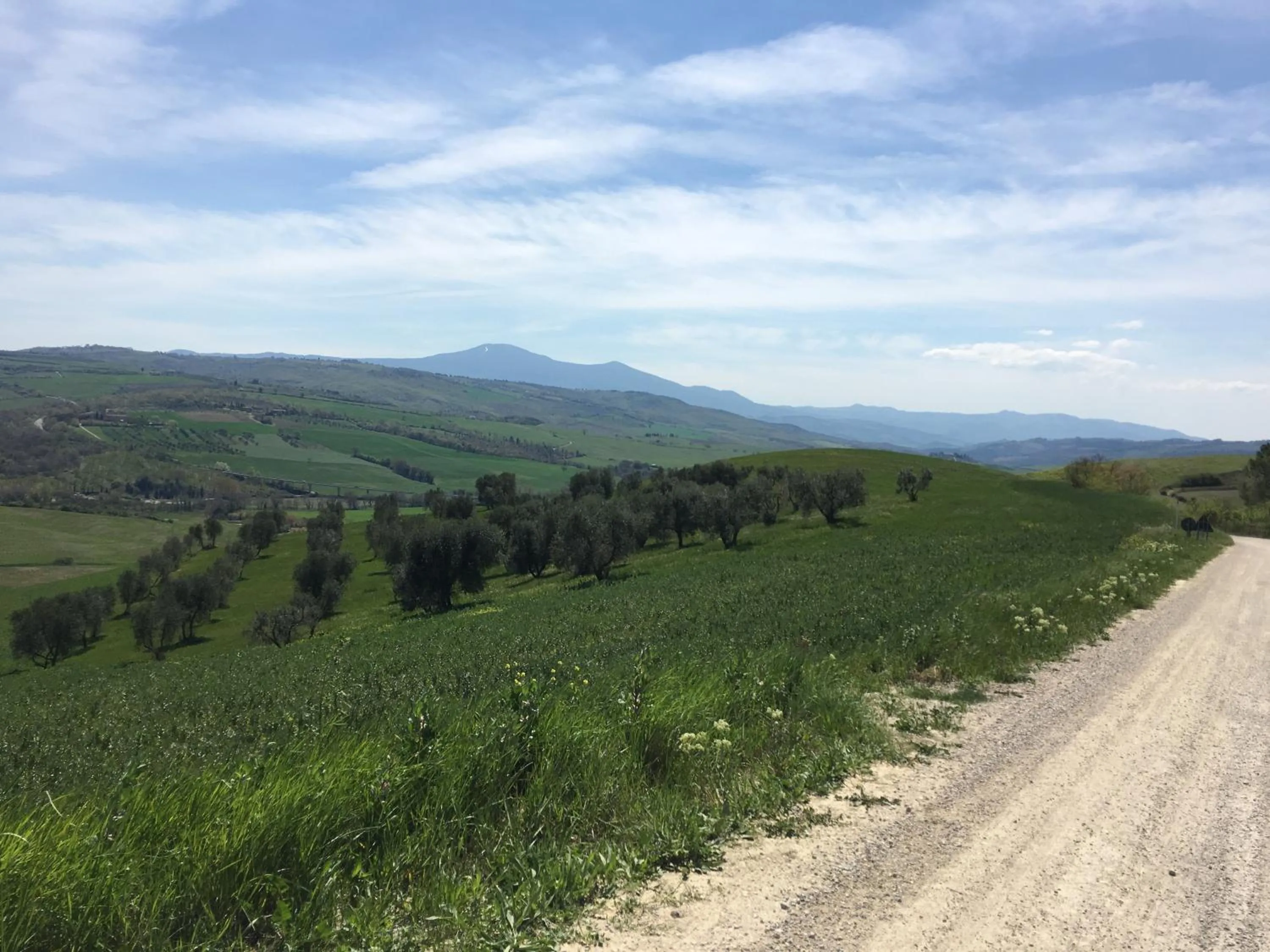 Cordella In Valdorcia Truffle and Olive Oil Resort