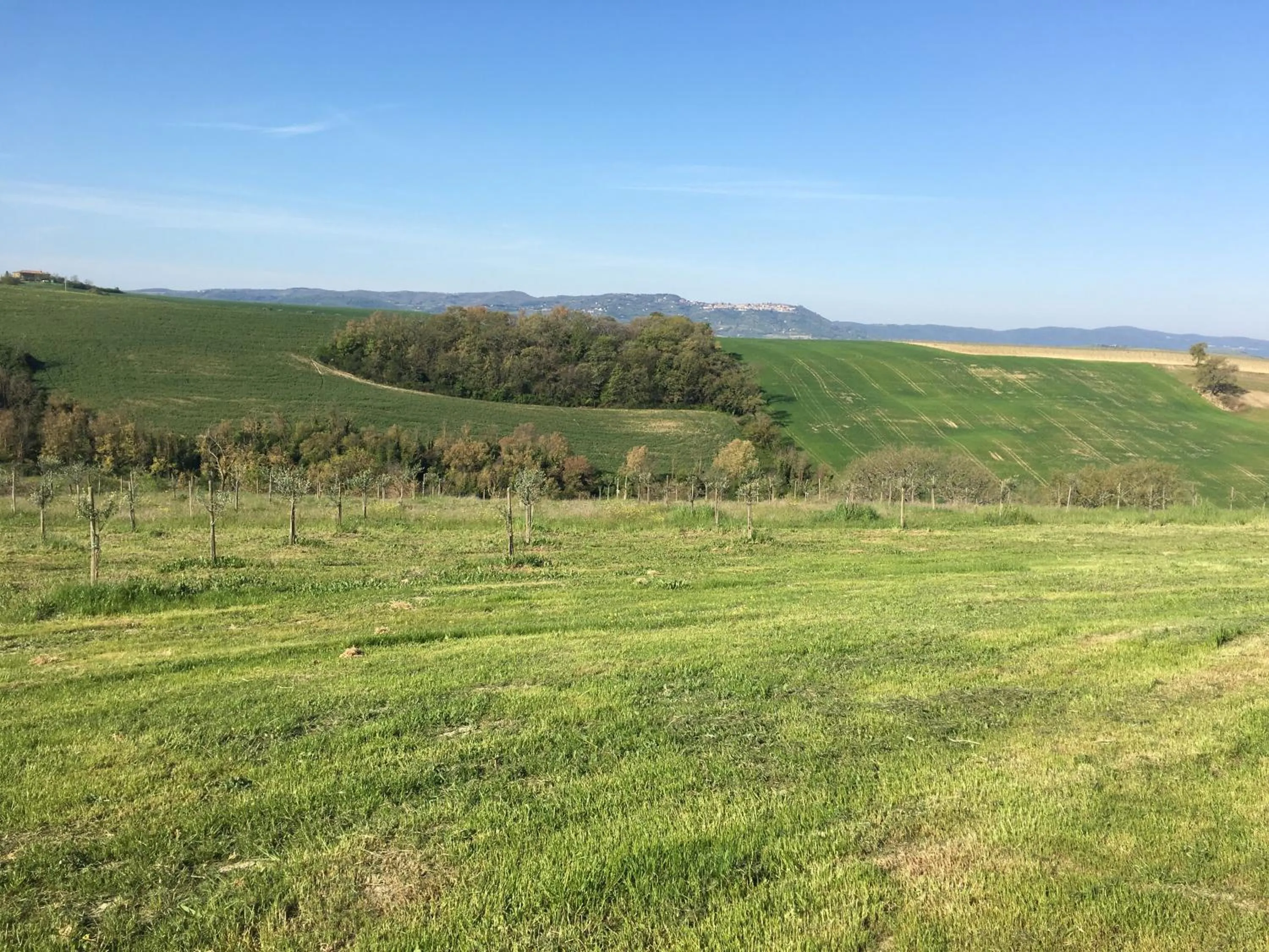 Cordella In Valdorcia Truffle and Olive Oil Resort