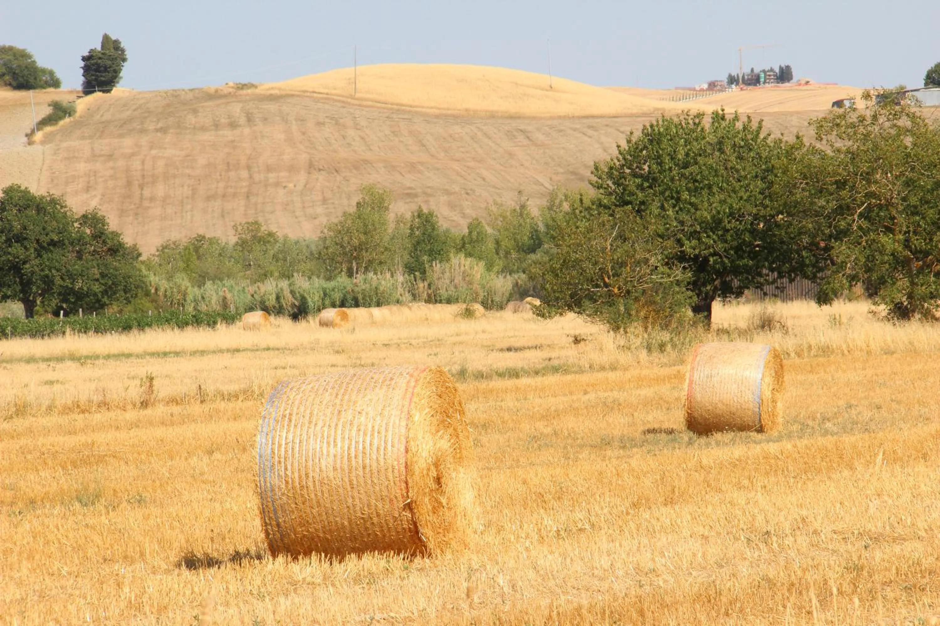 Nearby landmark in Albergo Roma