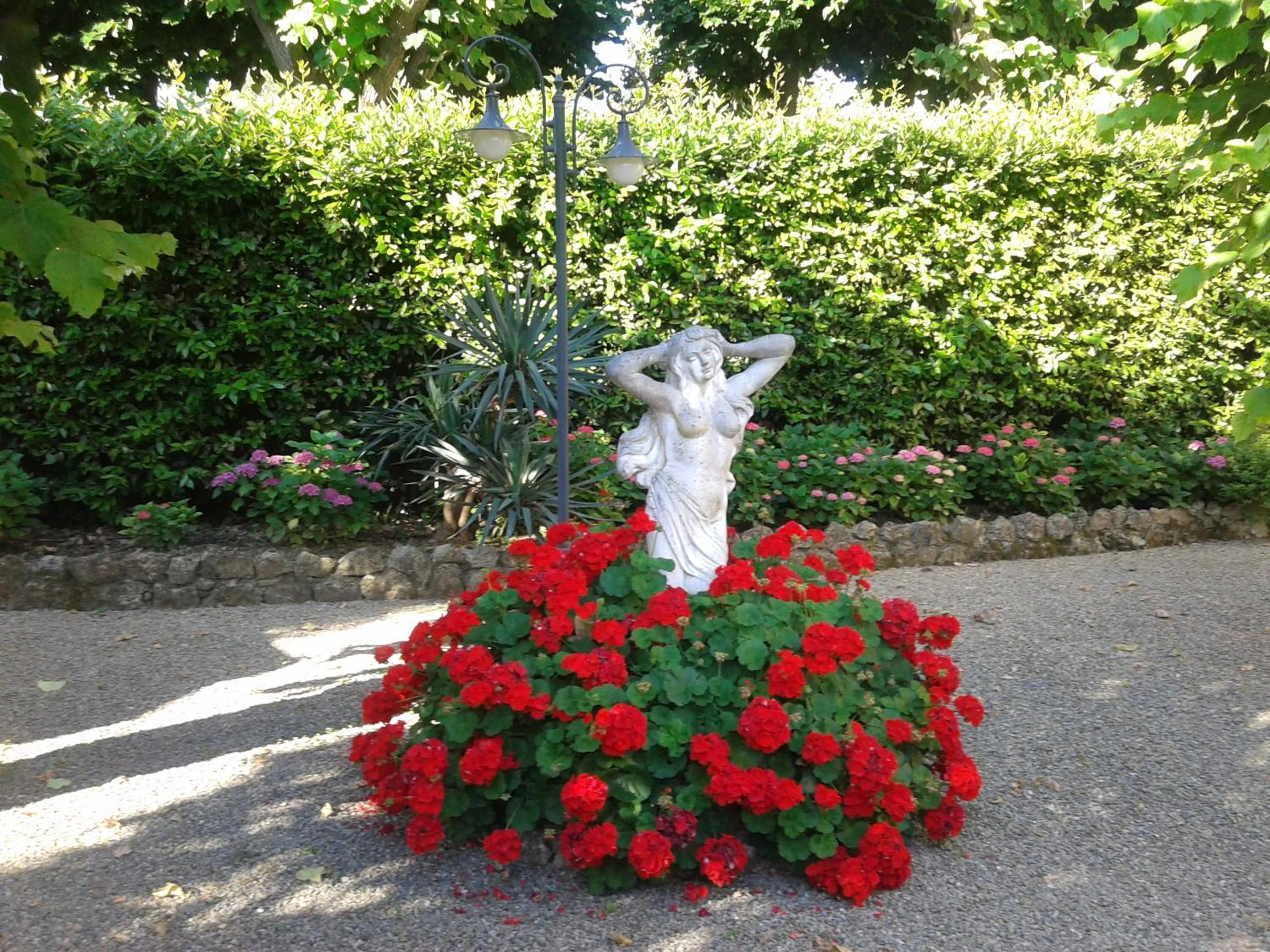 Garden in Albergo Roma
