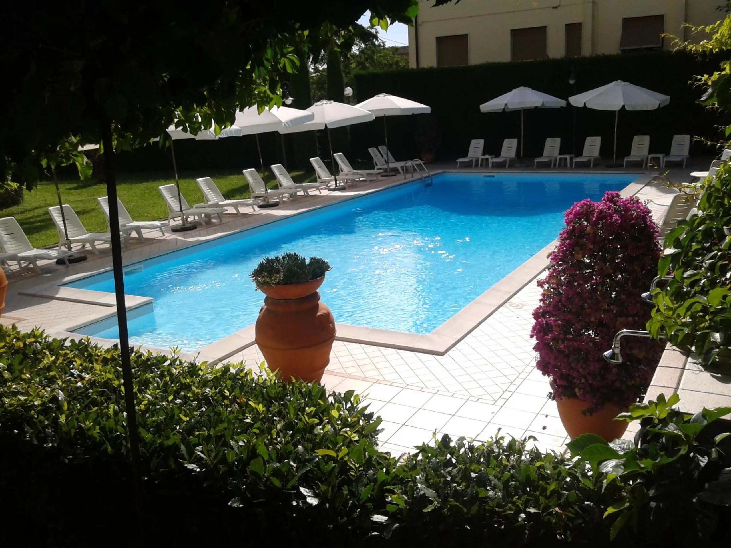 Swimming pool in Albergo Roma