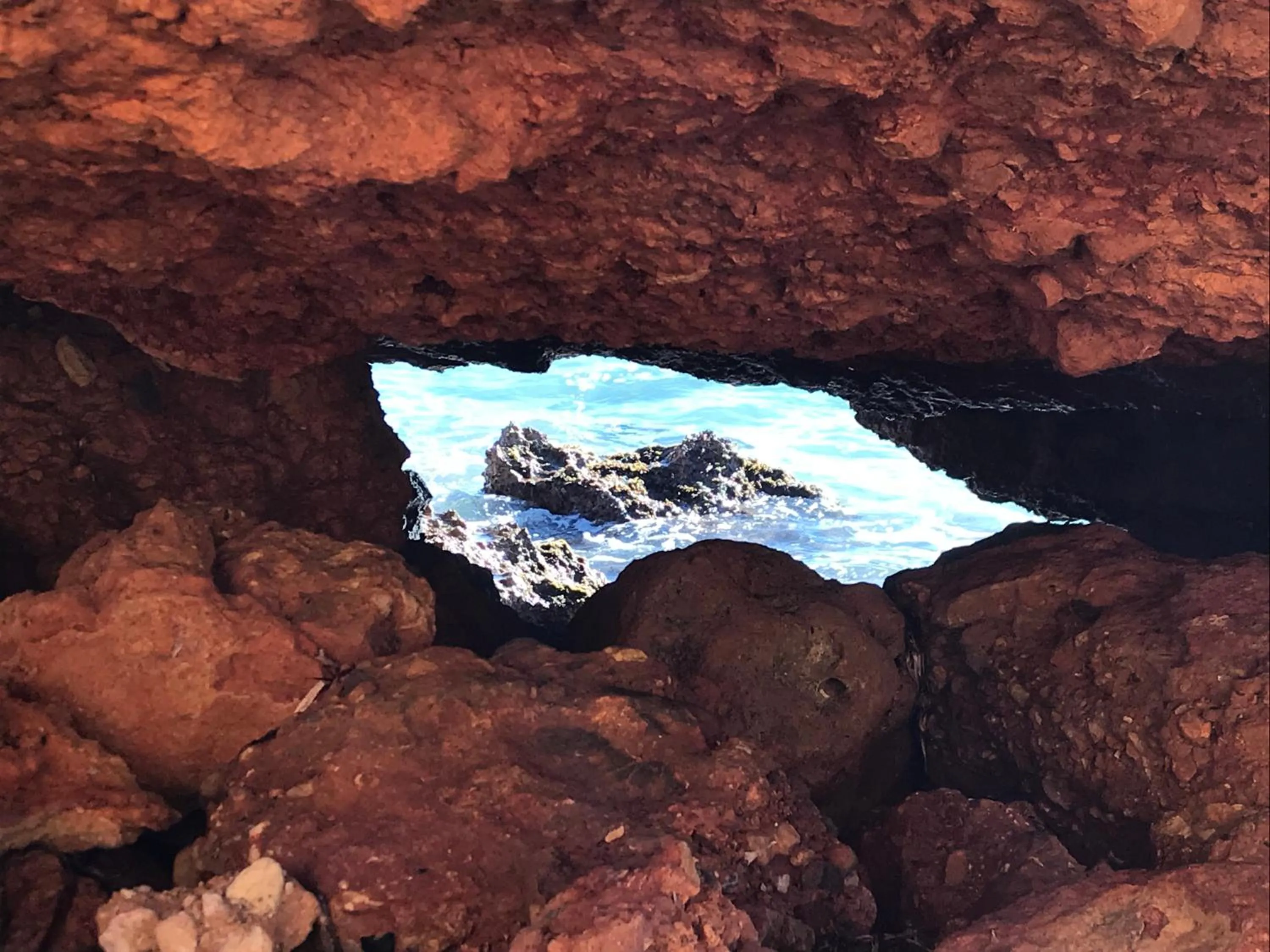 Natural landscape in Coordenadas Ibiza