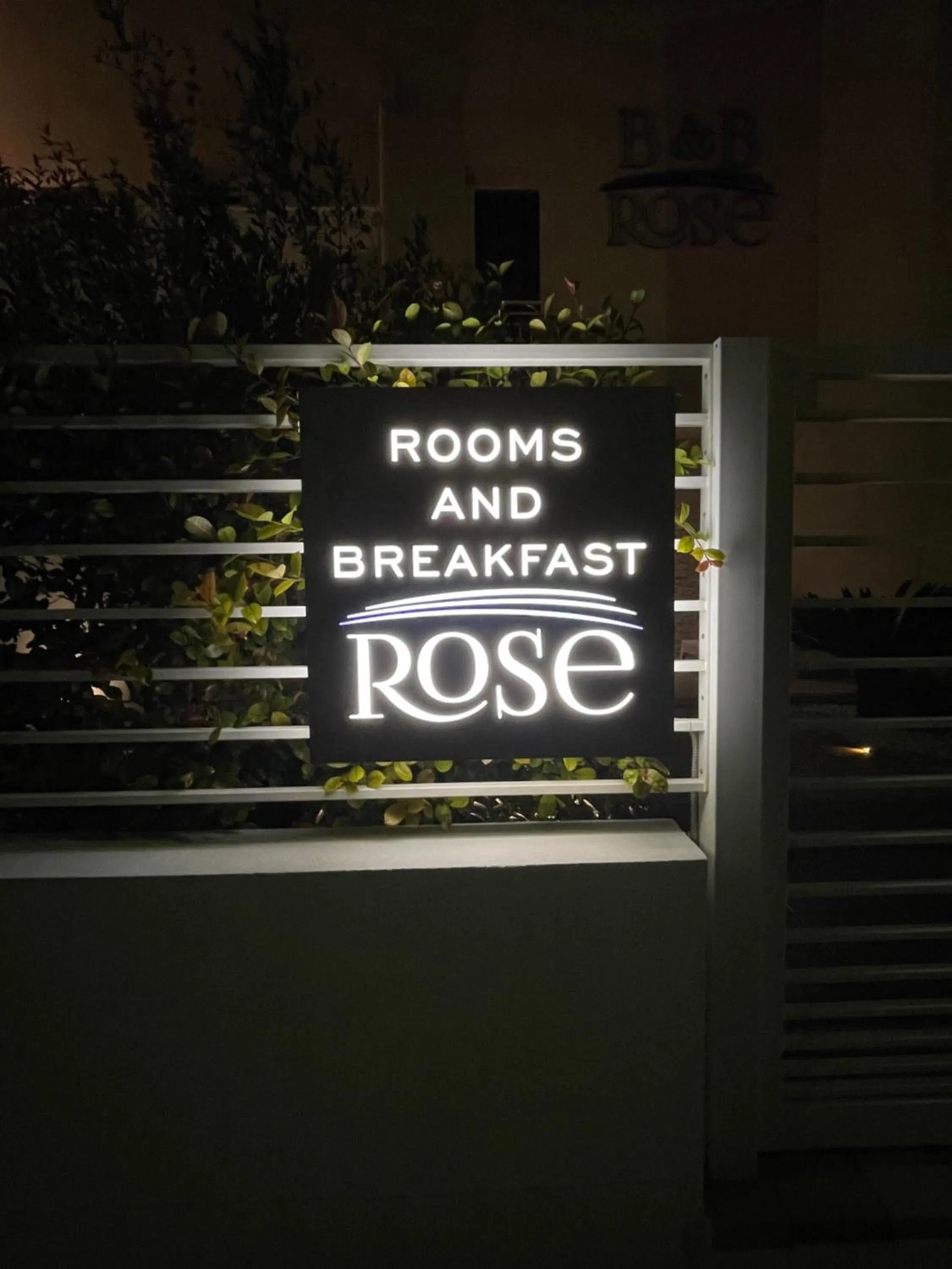 B&B Rose