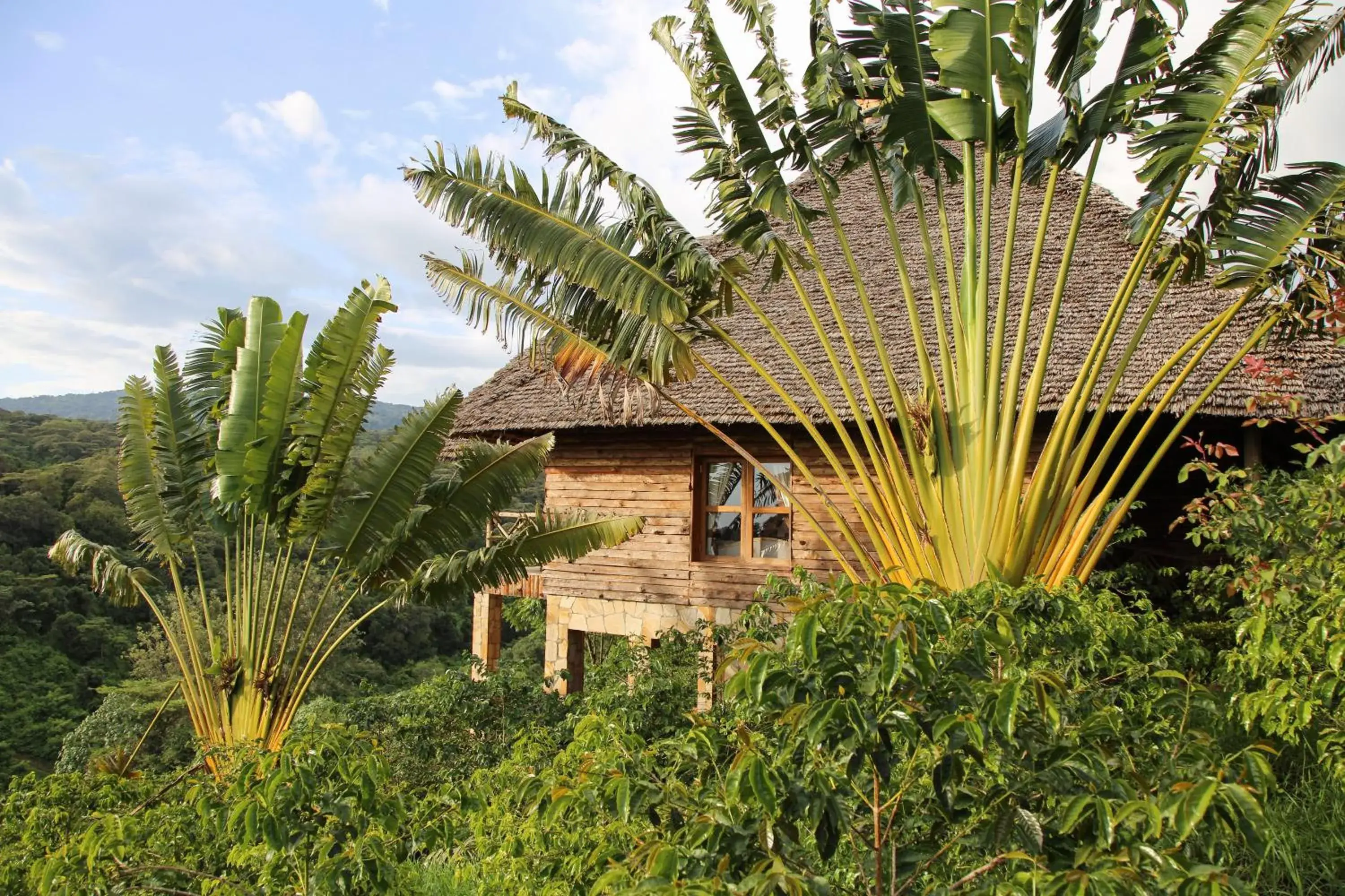 Garden view in Neptune Ngorongoro Luxury Lodge - All Inclusive Garden view in Neptune Ngorongoro Luxury Lodge - All Inclusive