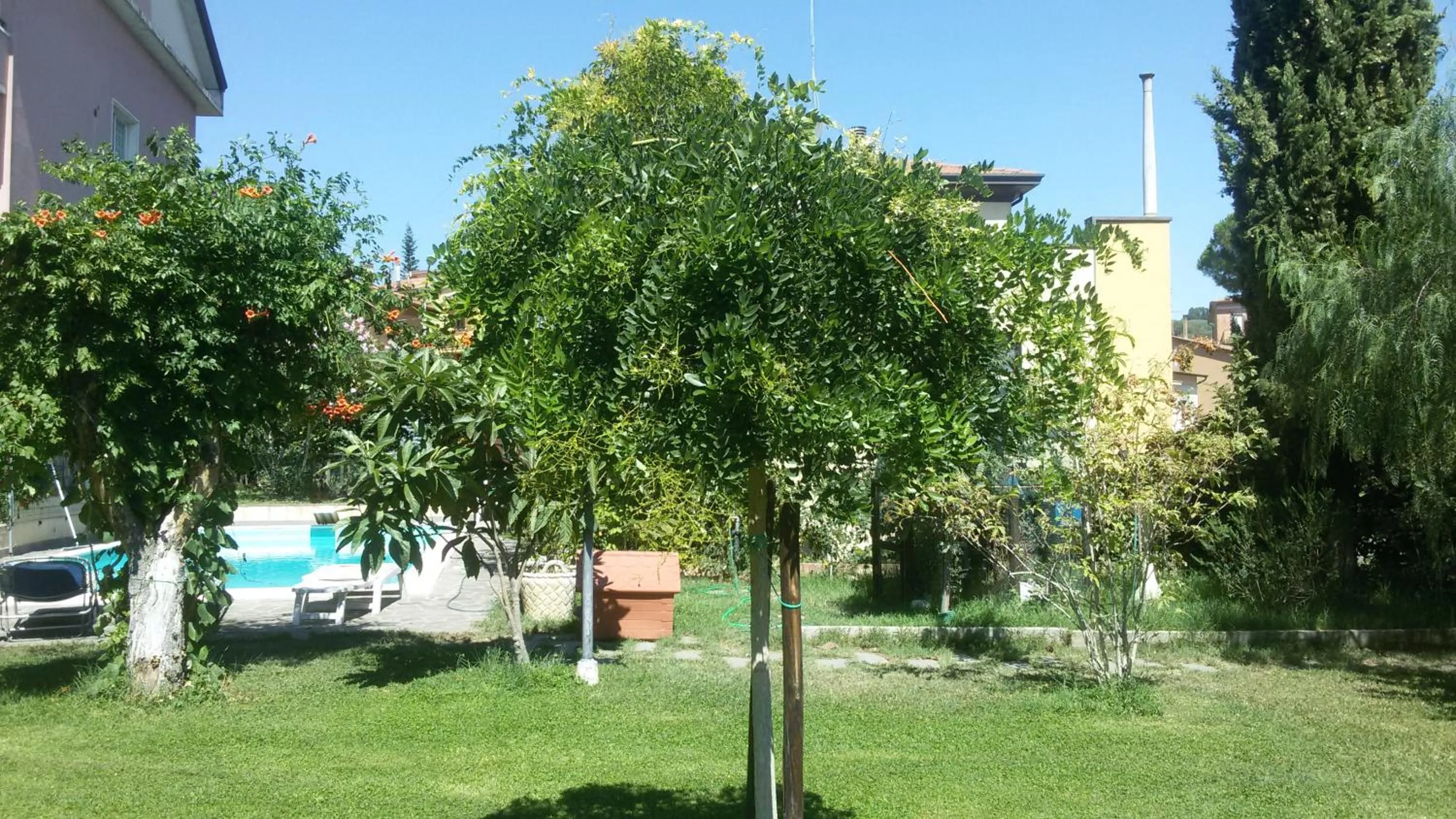 Property building in B&B Il Sognatore