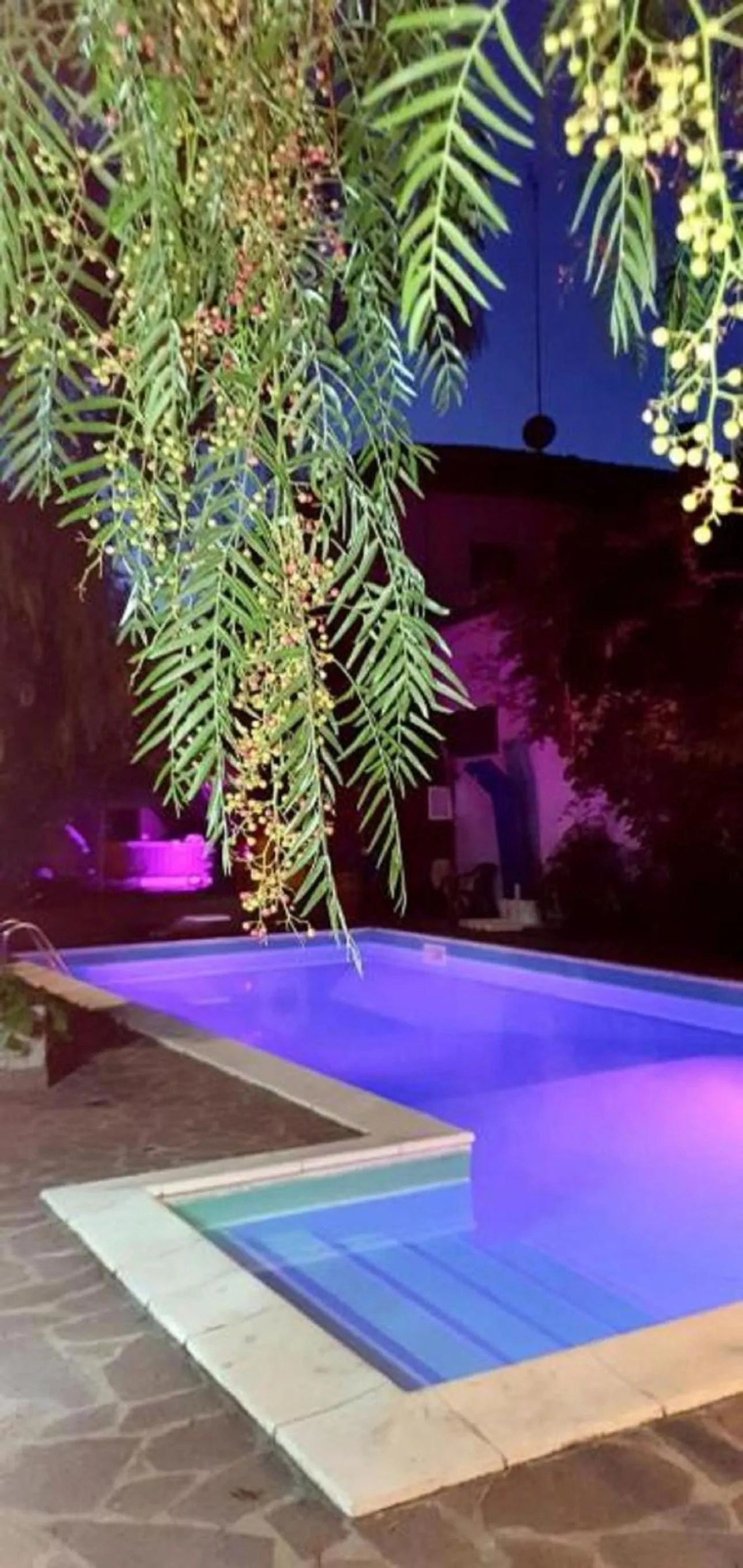 Swimming pool in B&B Il Sognatore