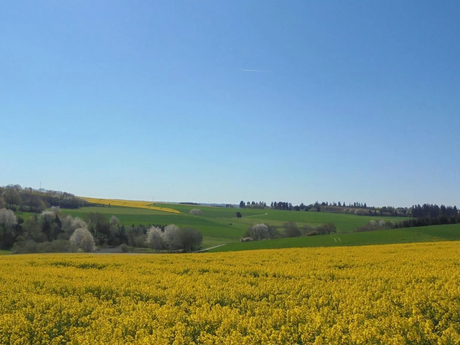 View (from property/room) in Ferien im Hunsrück