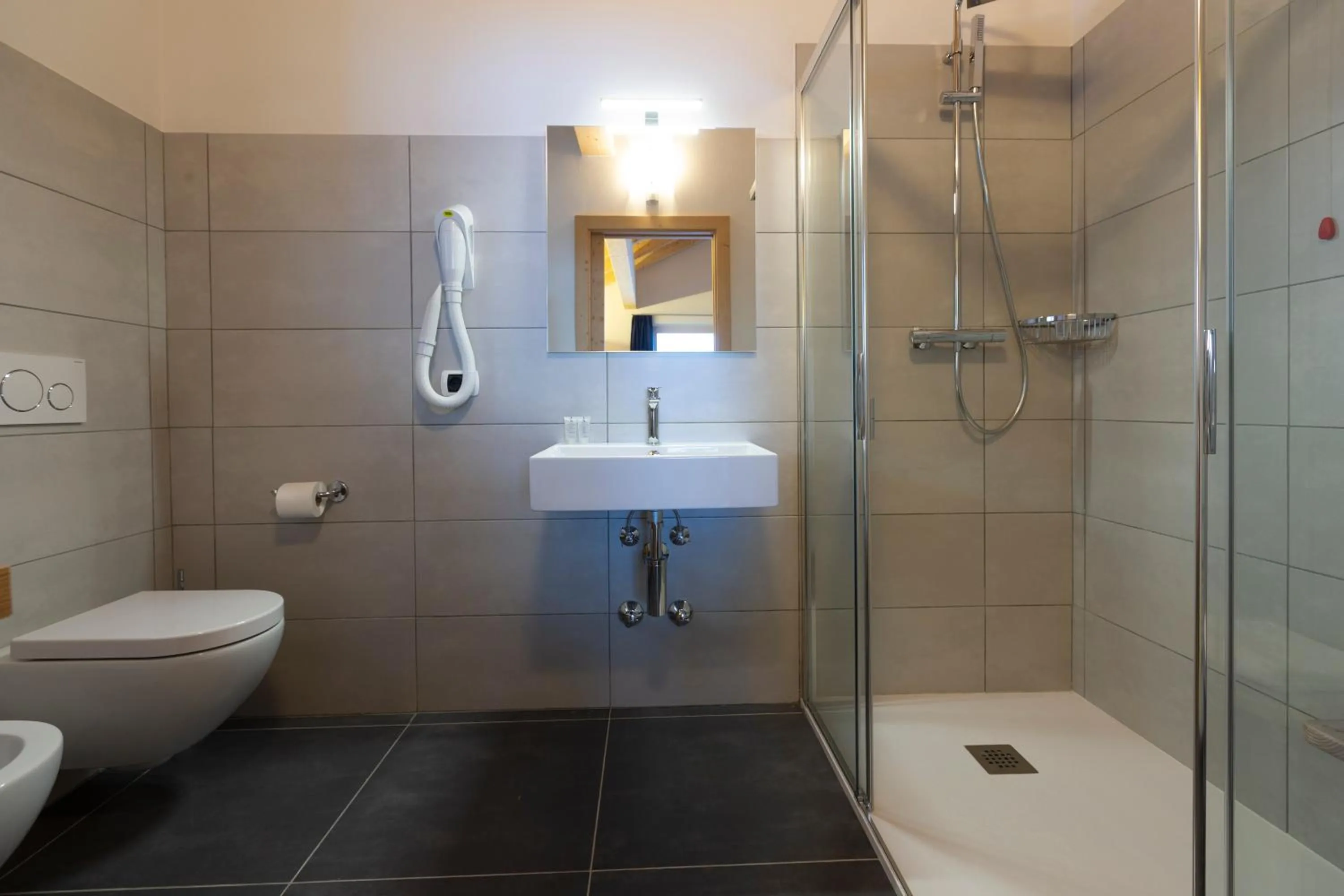 Shower, Bathroom in Hotel "La Suisse"