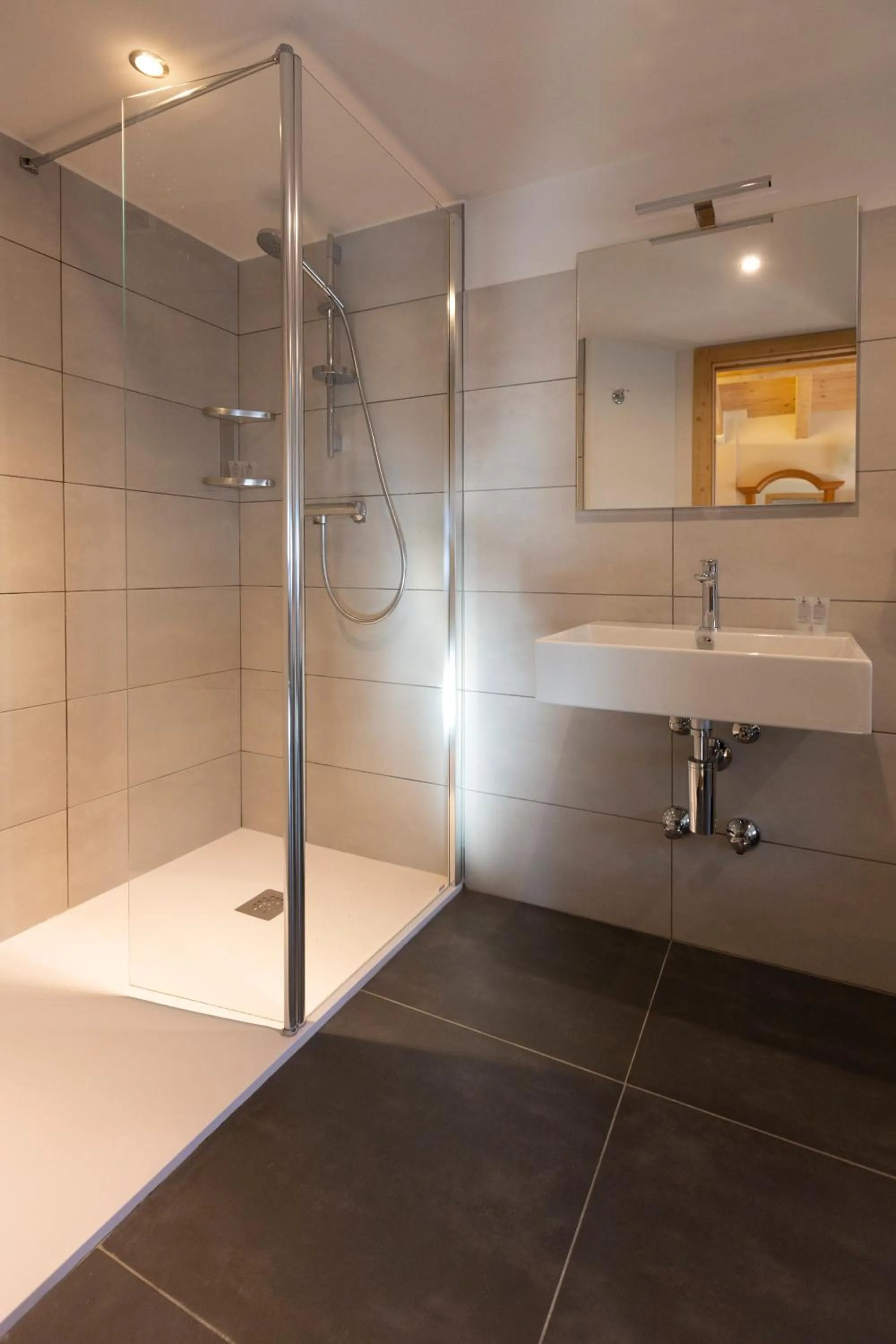 Shower, Bathroom in Hotel "La Suisse"