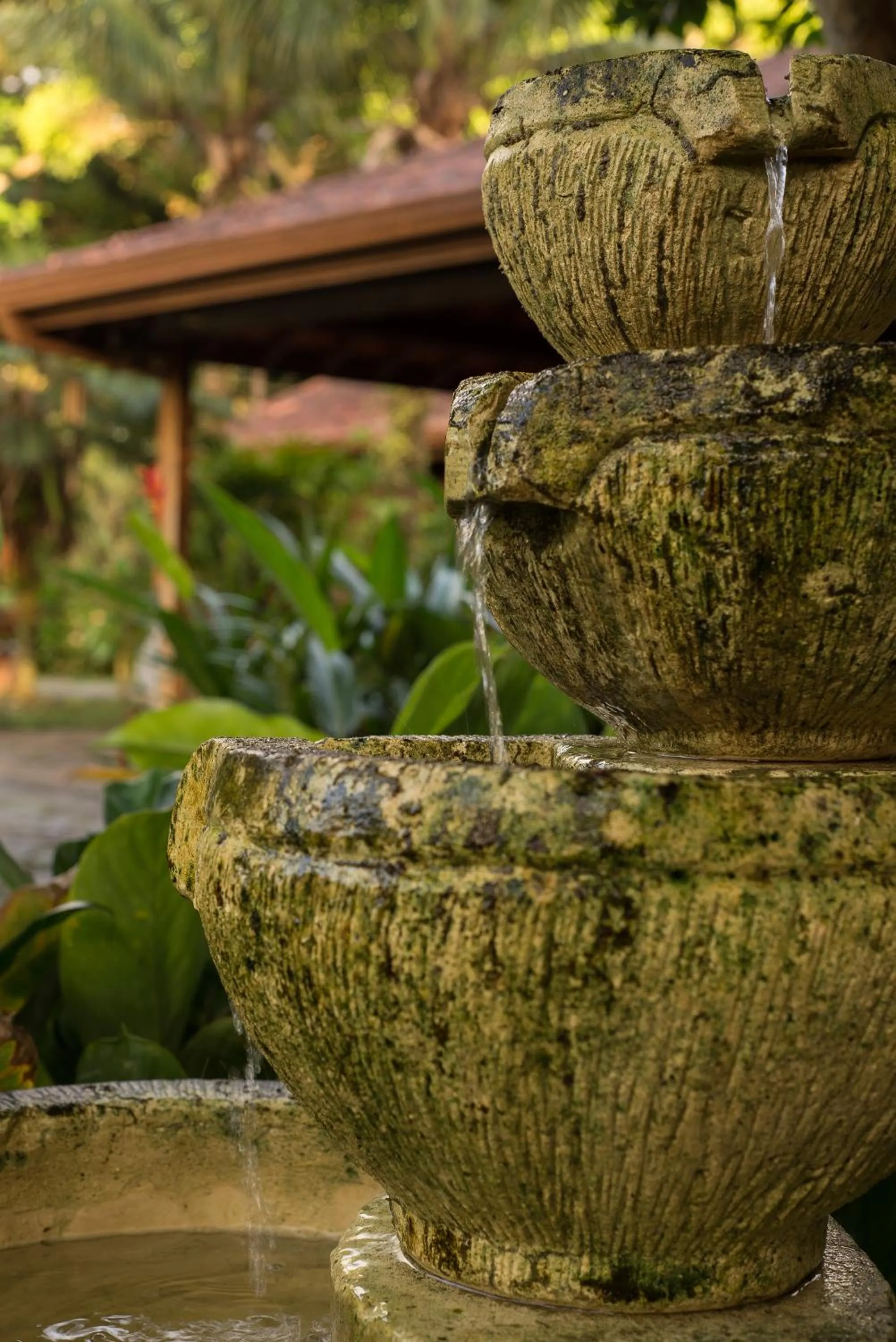 Garden in Pousada Treze Luas