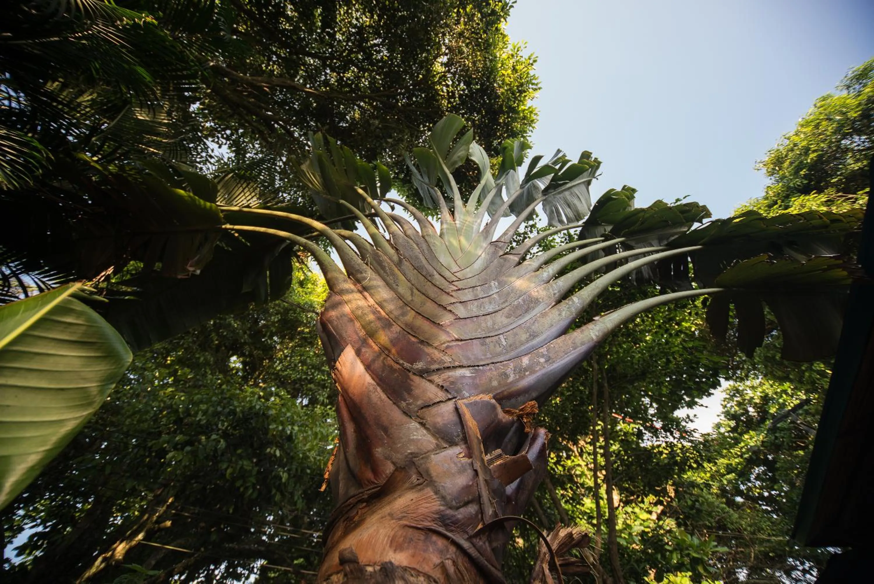 Garden in Pousada Treze Luas