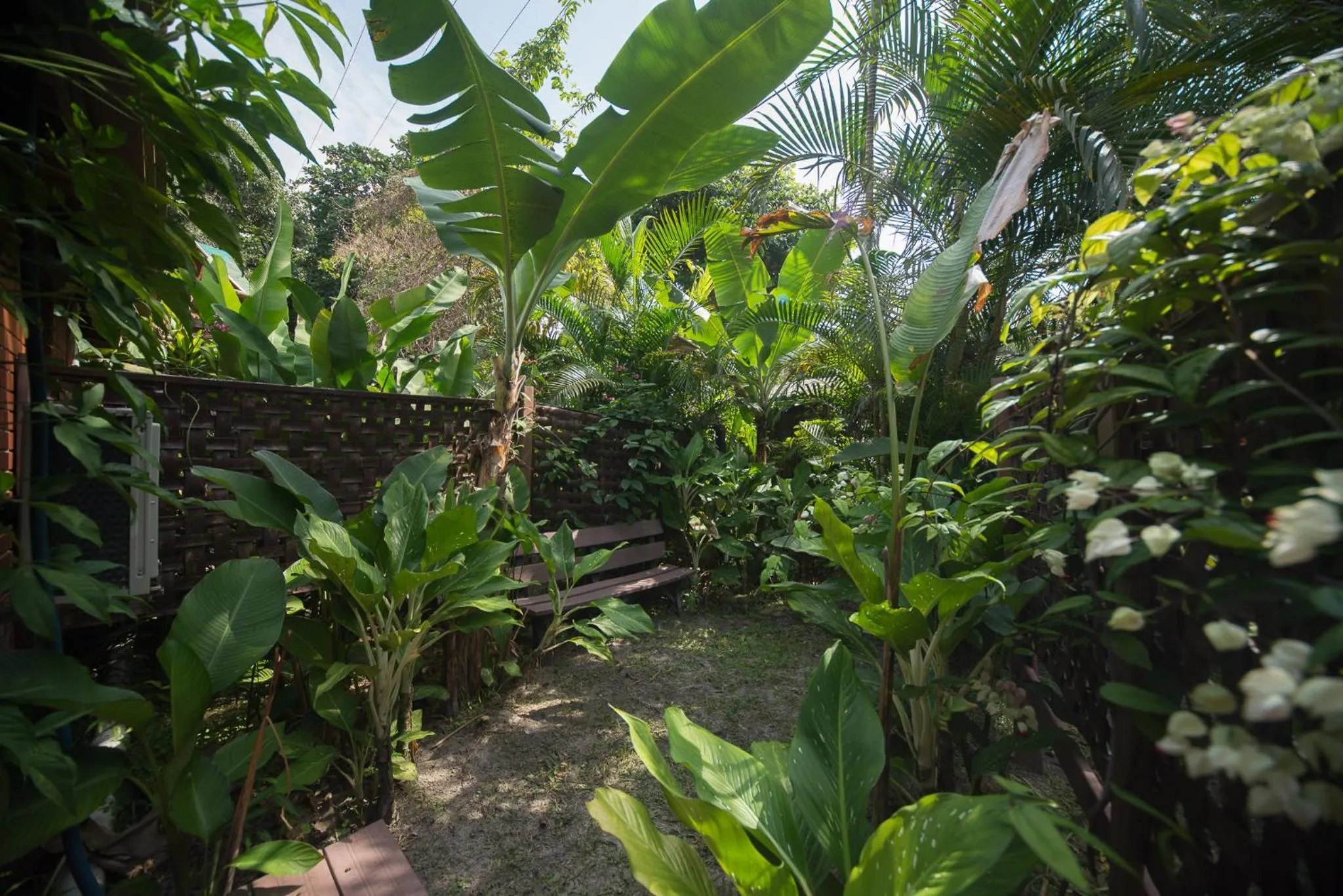 Garden in Pousada Treze Luas