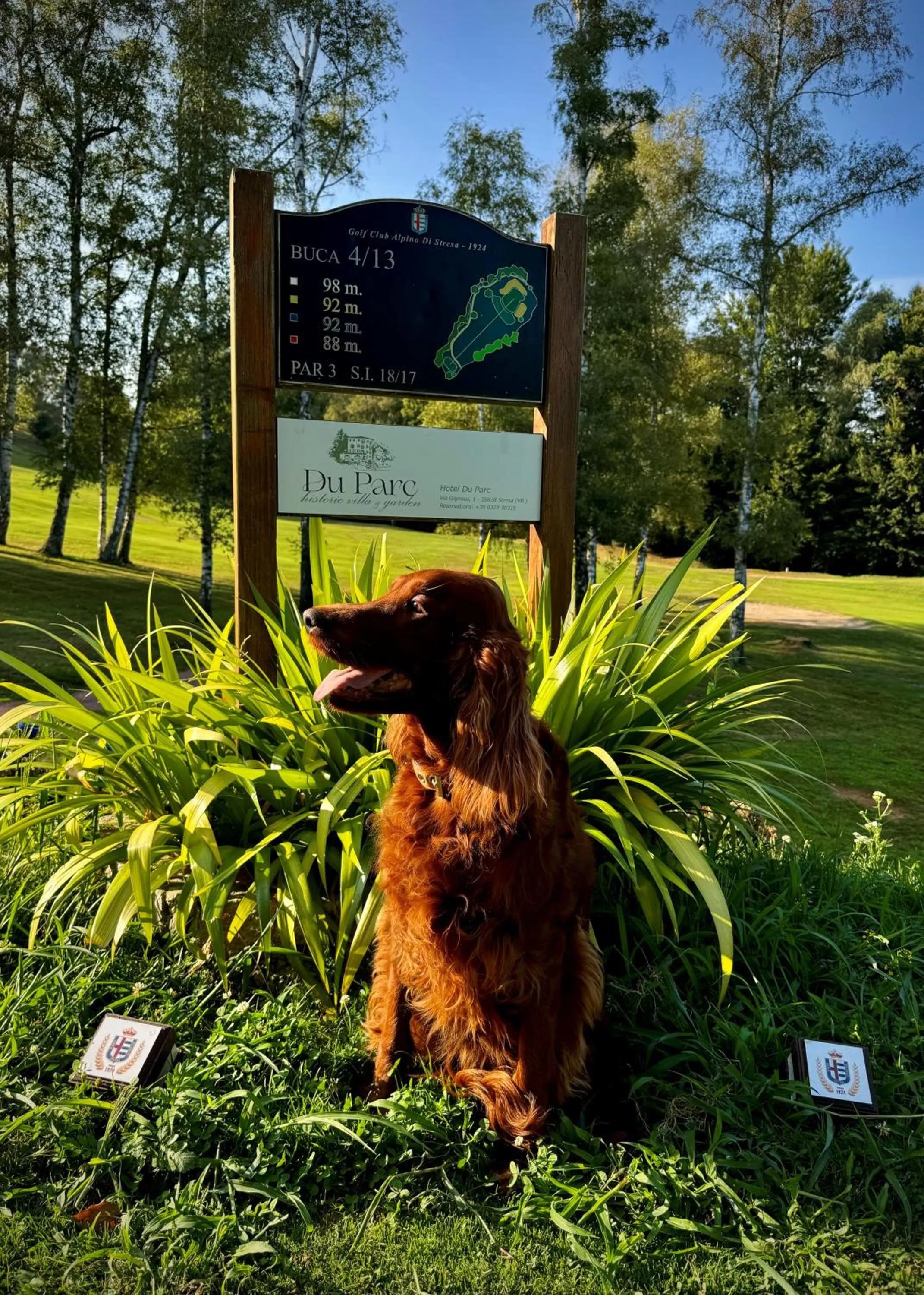 Golfcourse in Hotel Du Parc