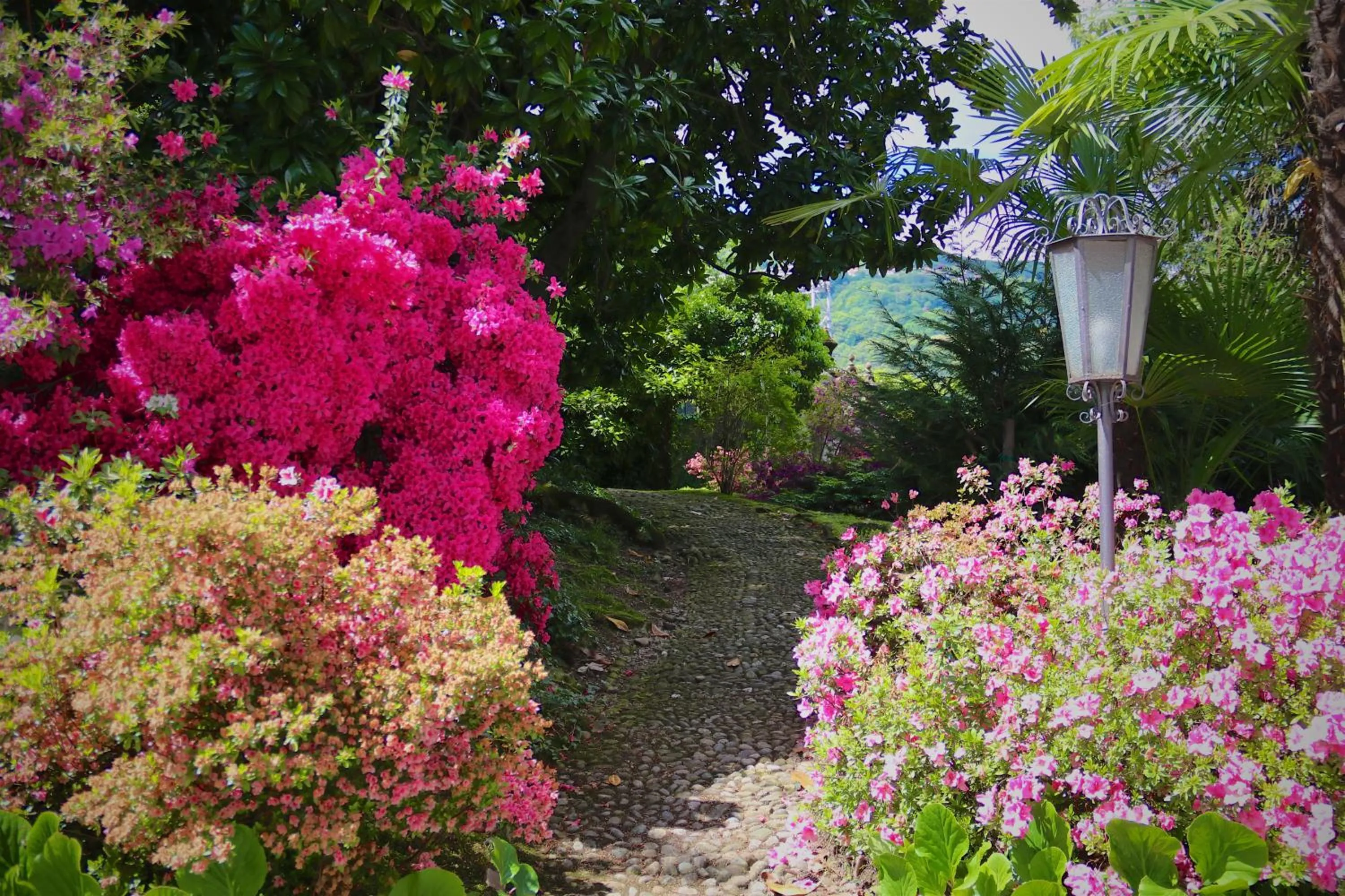 Patio in Hotel Du Parc