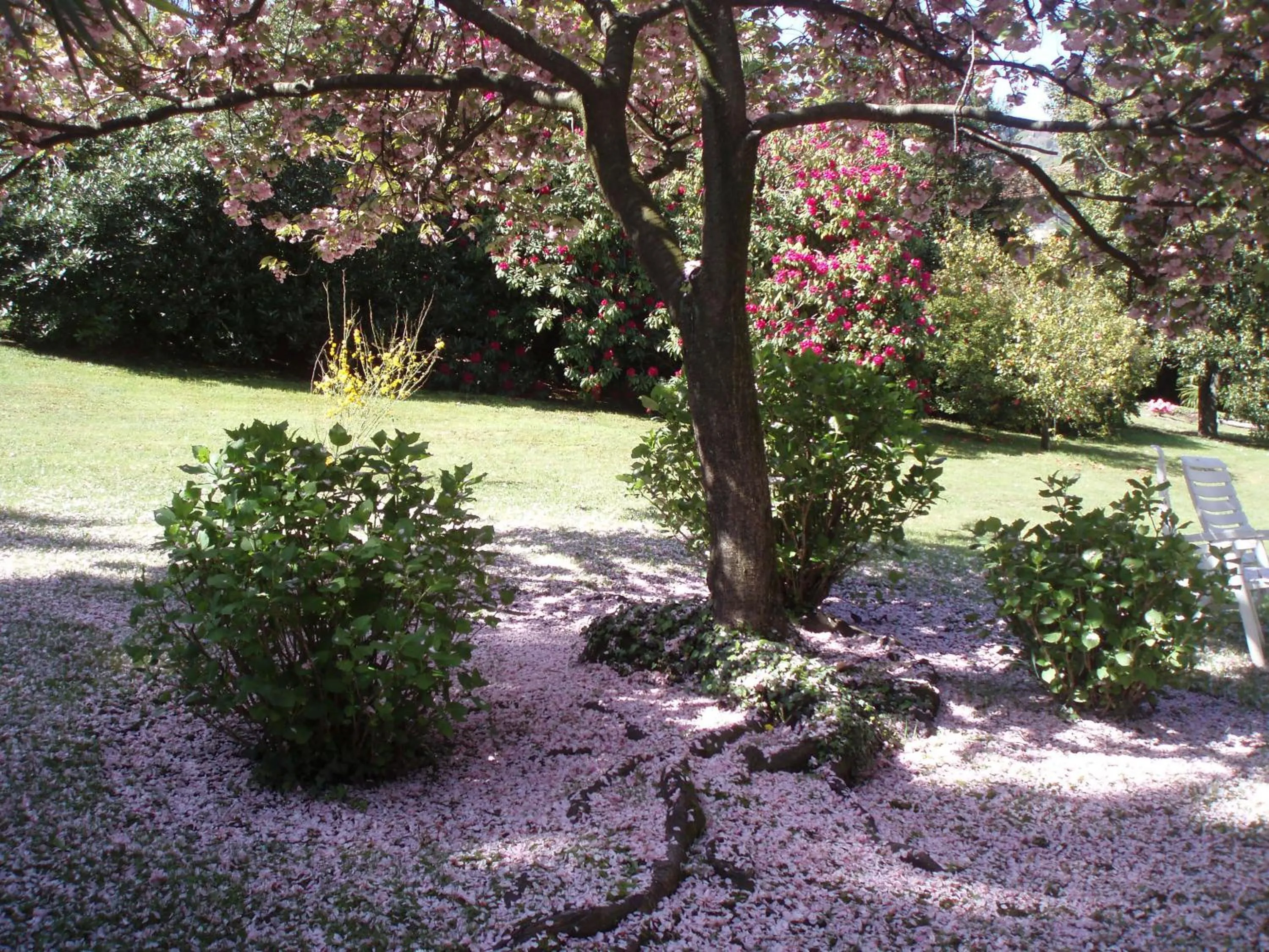 Spring in Hotel Du Parc