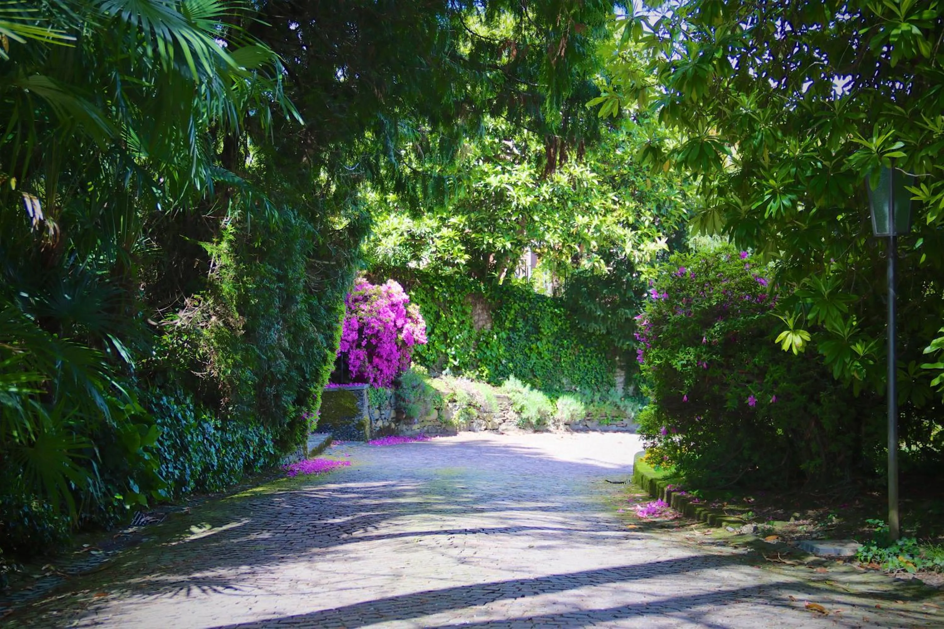 Patio in Hotel Du Parc