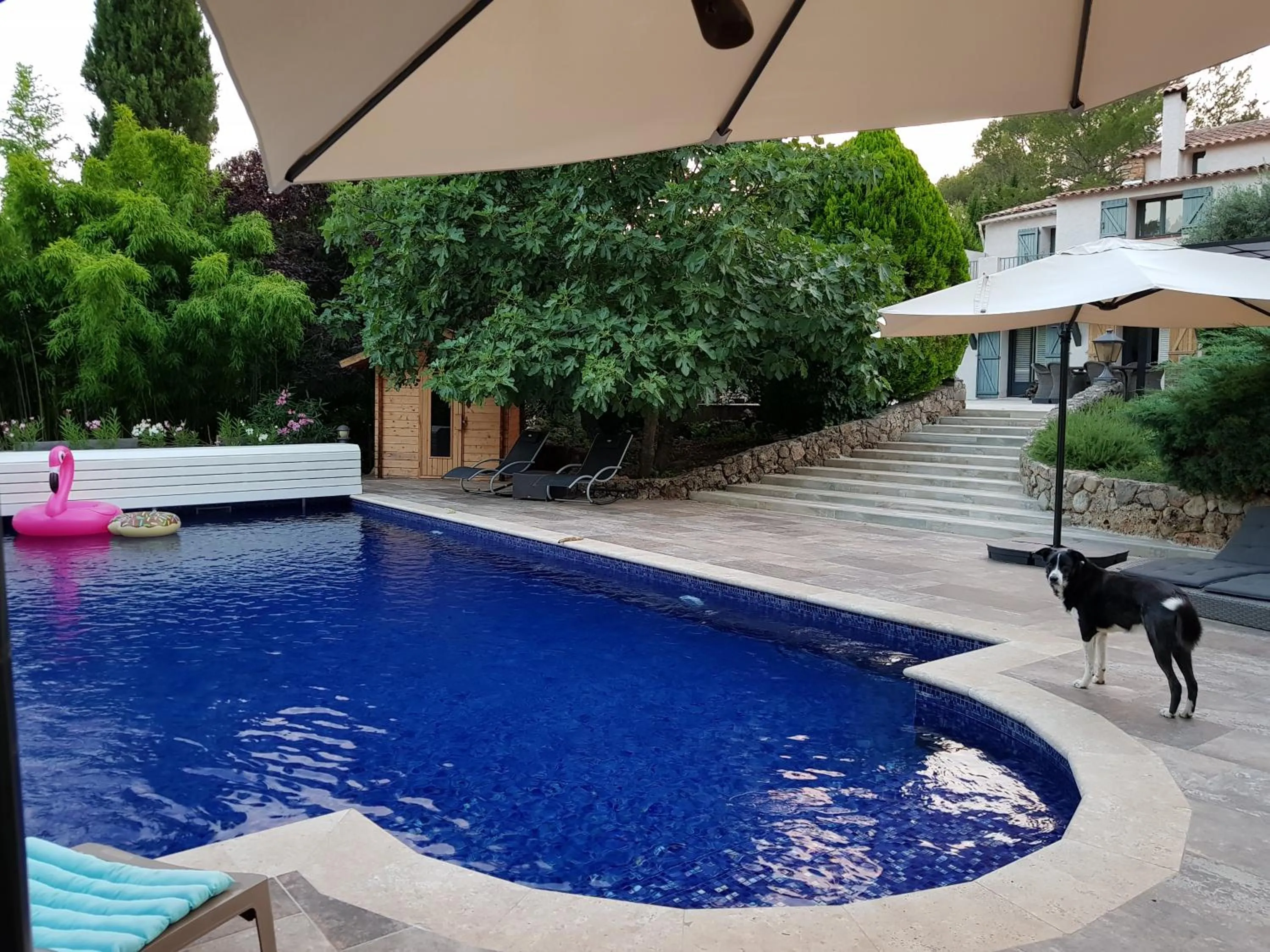 Swimming pool in B&B Les Grillons