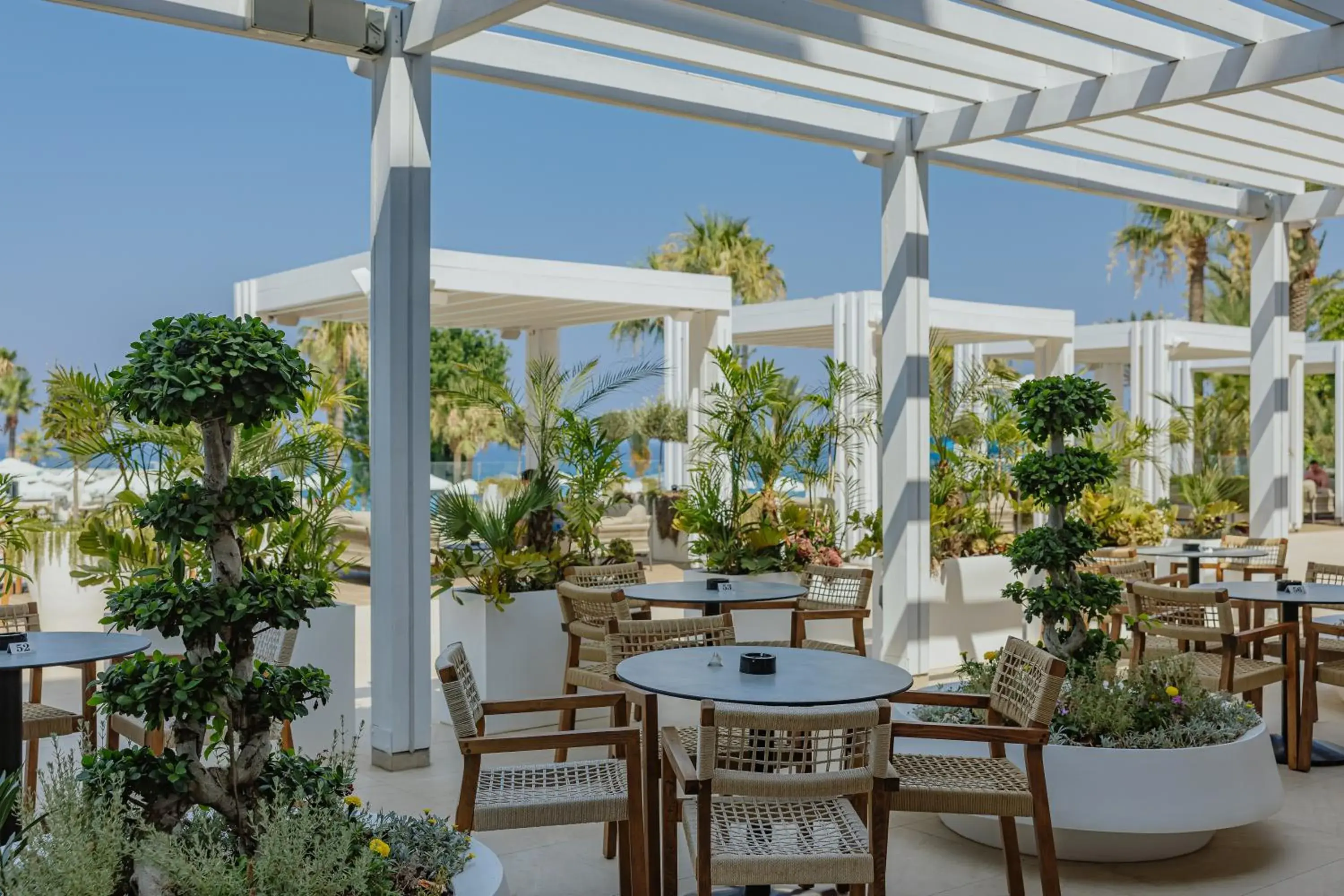 Lounge or bar in Golden Coast Beach Hotel Lounge or bar in Golden Coast Beach Hotel