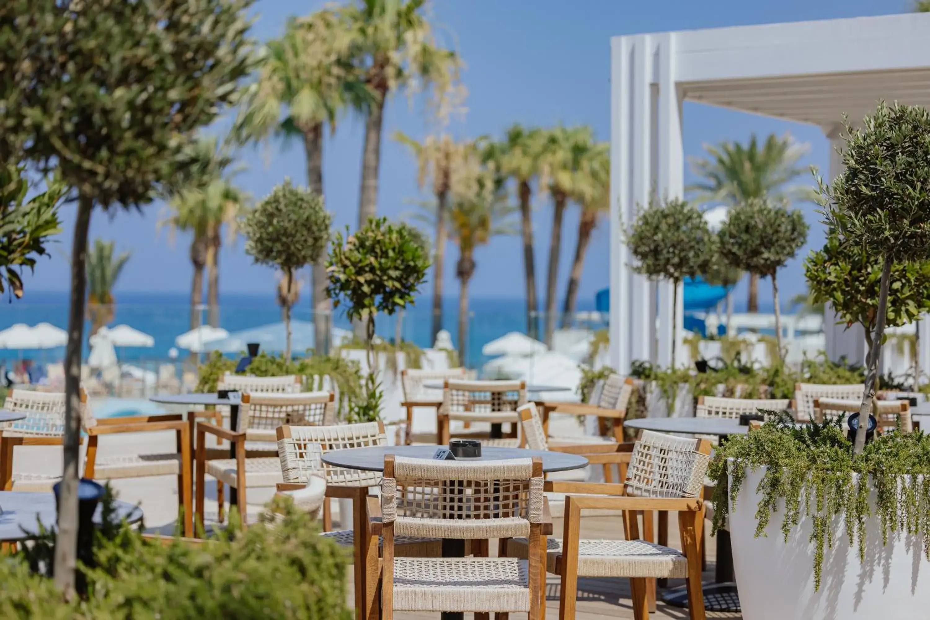 Lounge or bar in Golden Coast Beach Hotel Lounge or bar in Golden Coast Beach Hotel