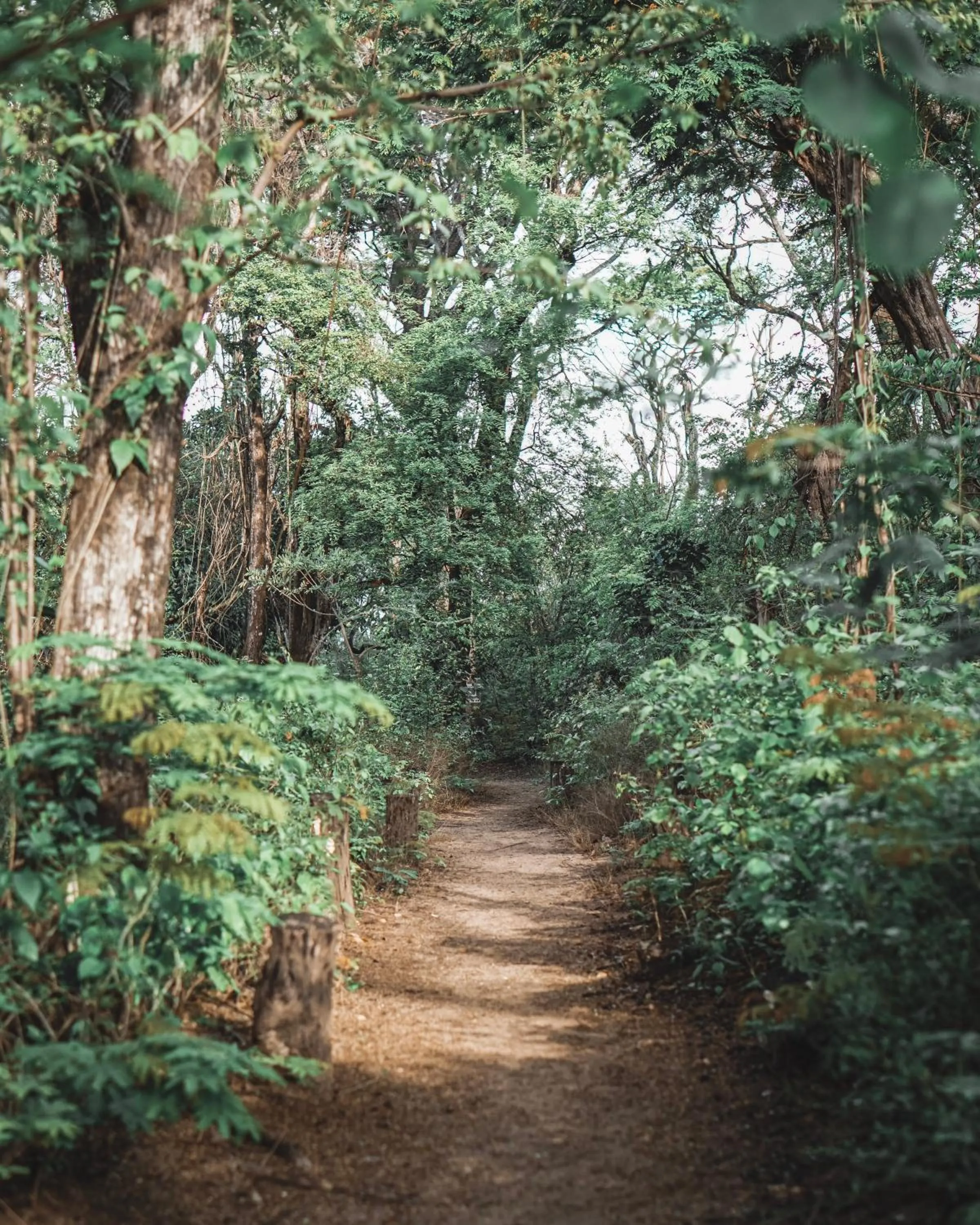 Beach in Hotel Cantarana
