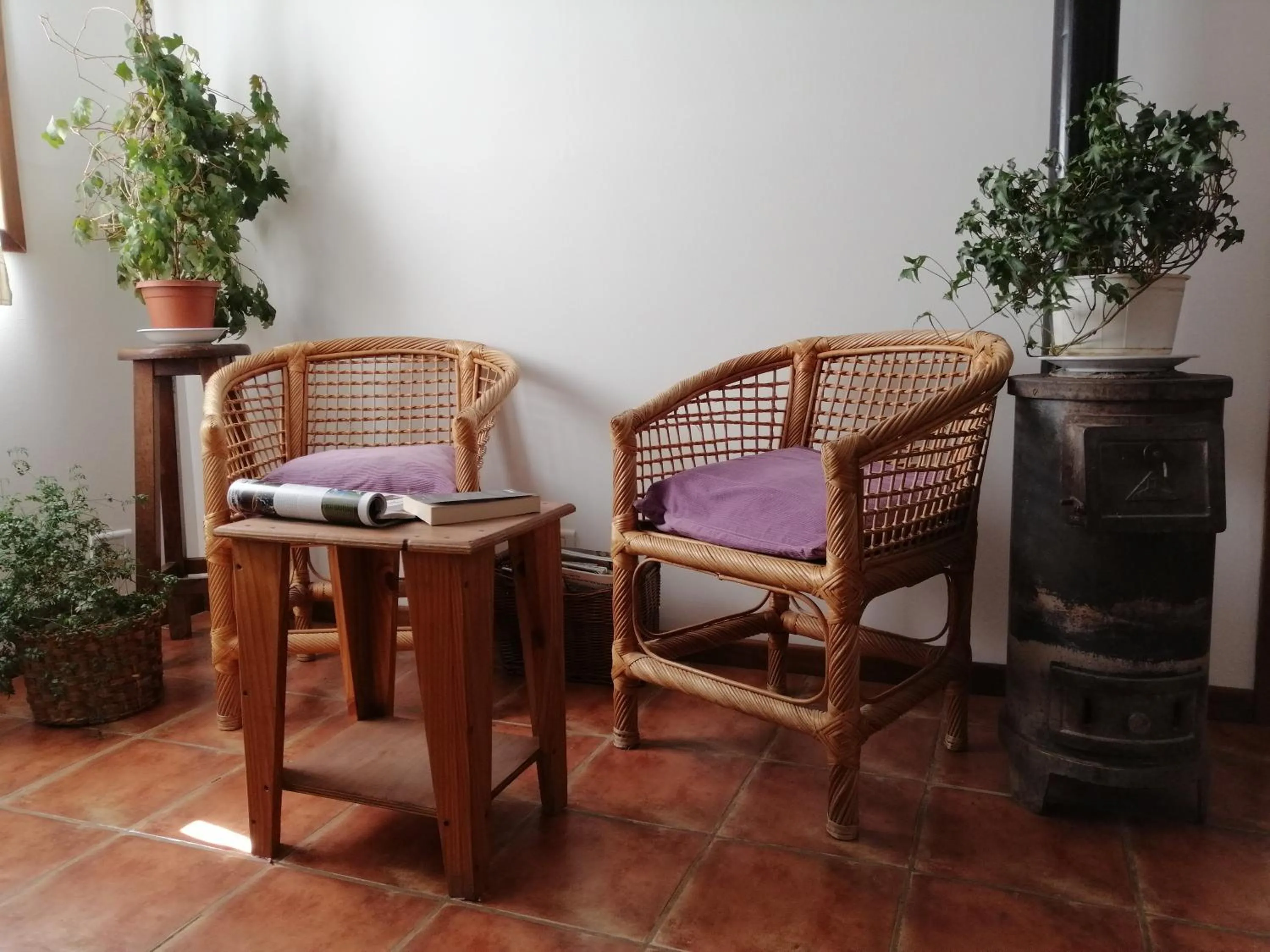 Other in Nothofagus Bed & Breakfast