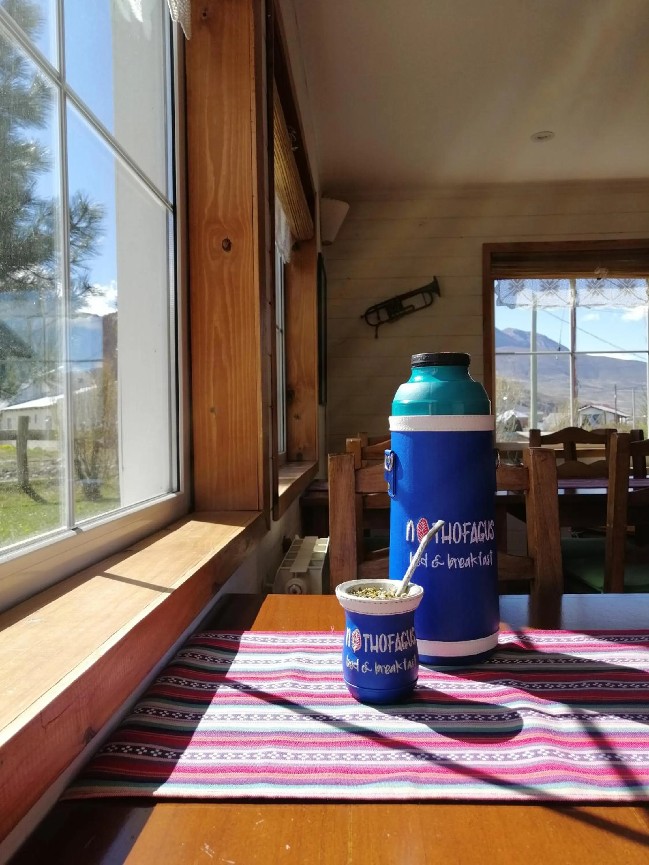 Lounge or bar in Nothofagus Bed & Breakfast