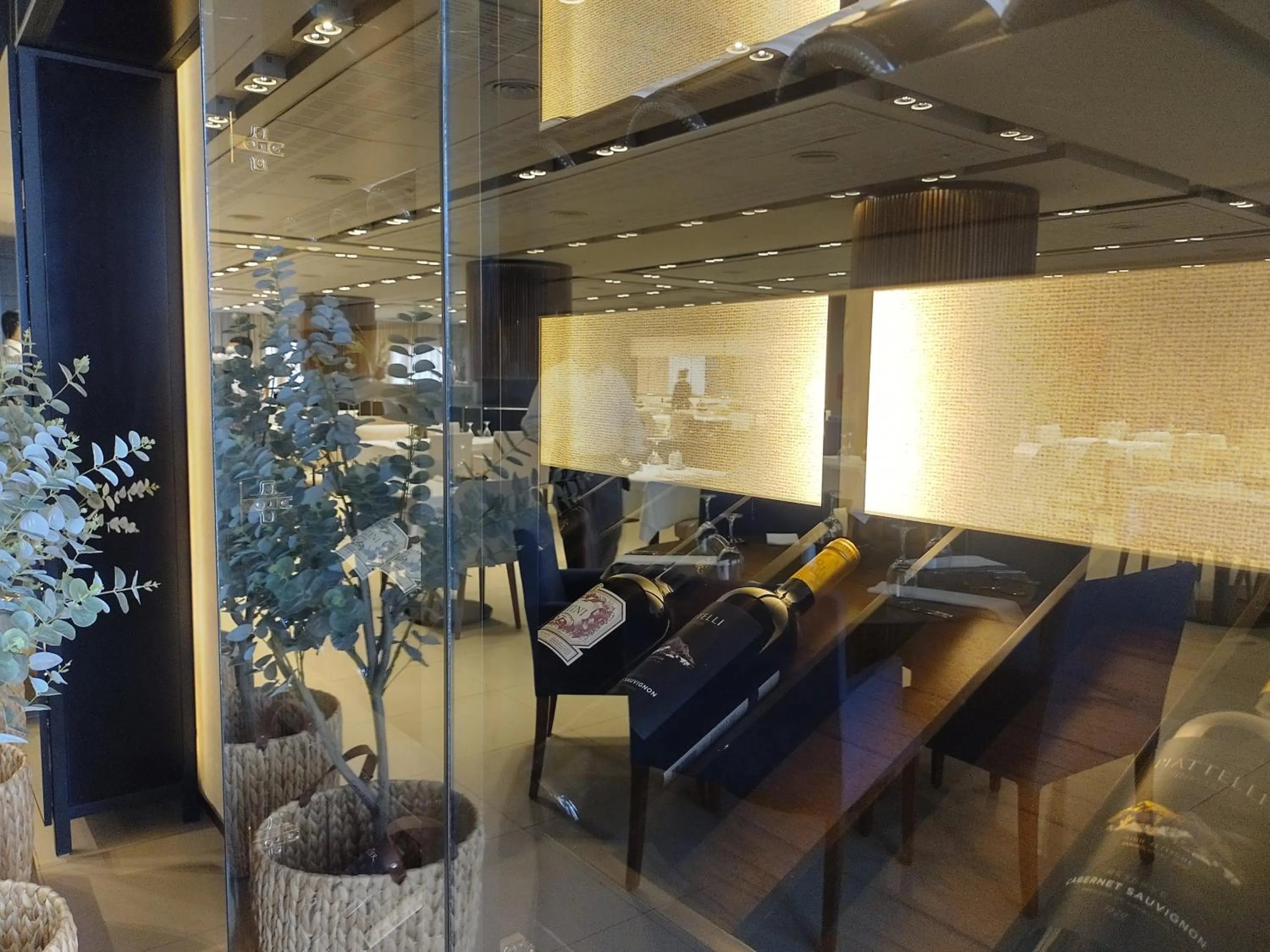 Gran Amérian Carlos V