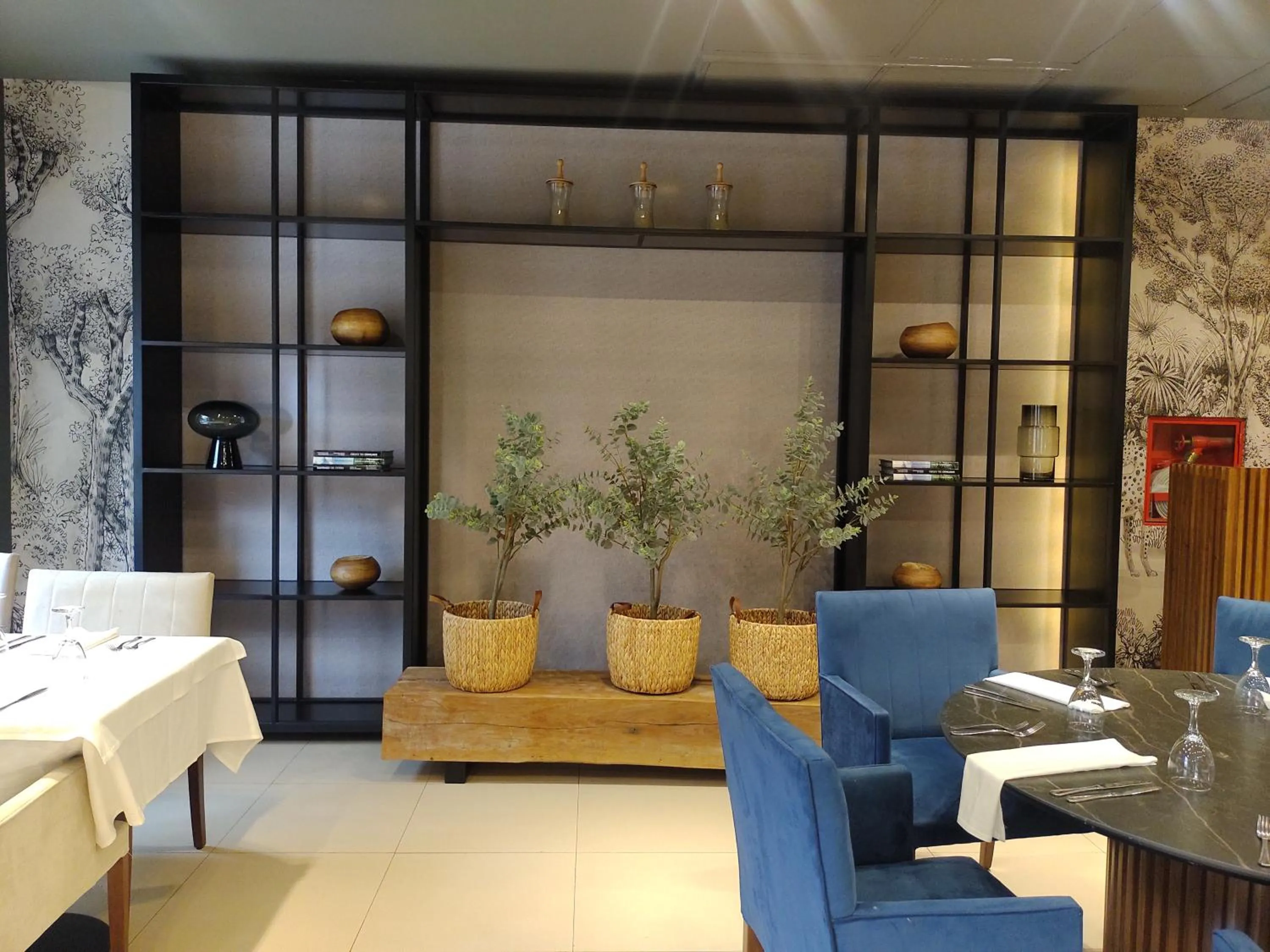 Gran Amérian Carlos V