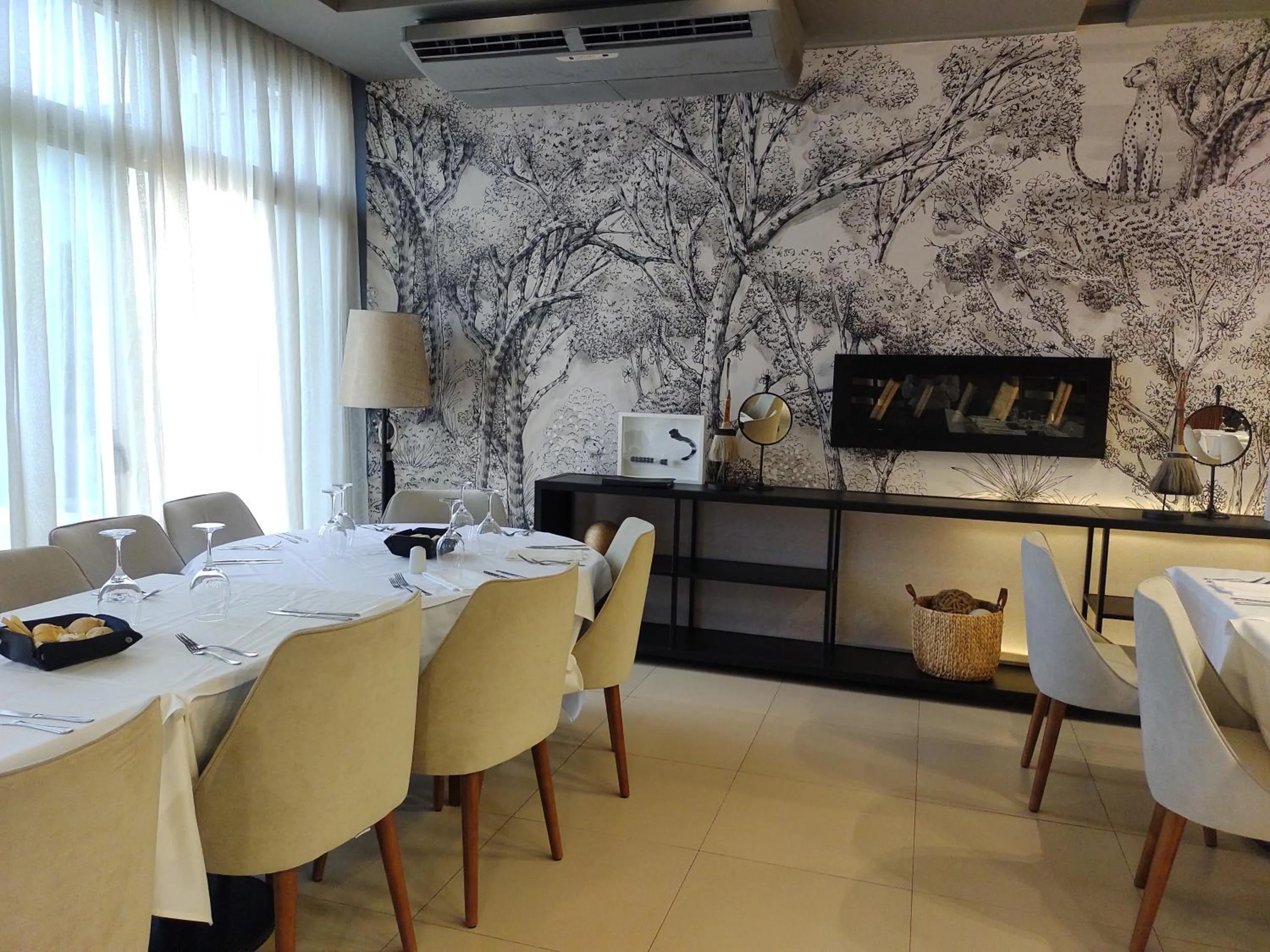 Gran Amérian Carlos V