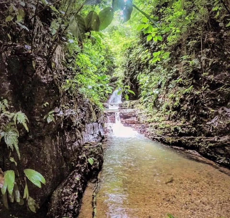 Hiking in Oxygen Jungle Villas & Spa