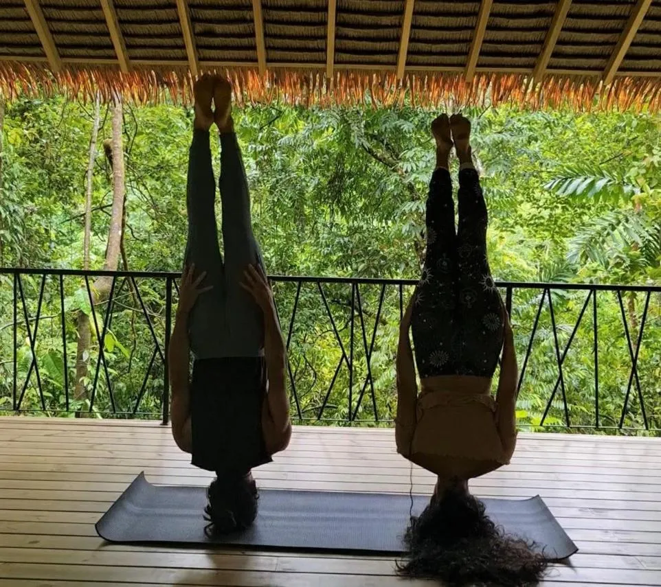 Oxygen Jungle Villas & Spa