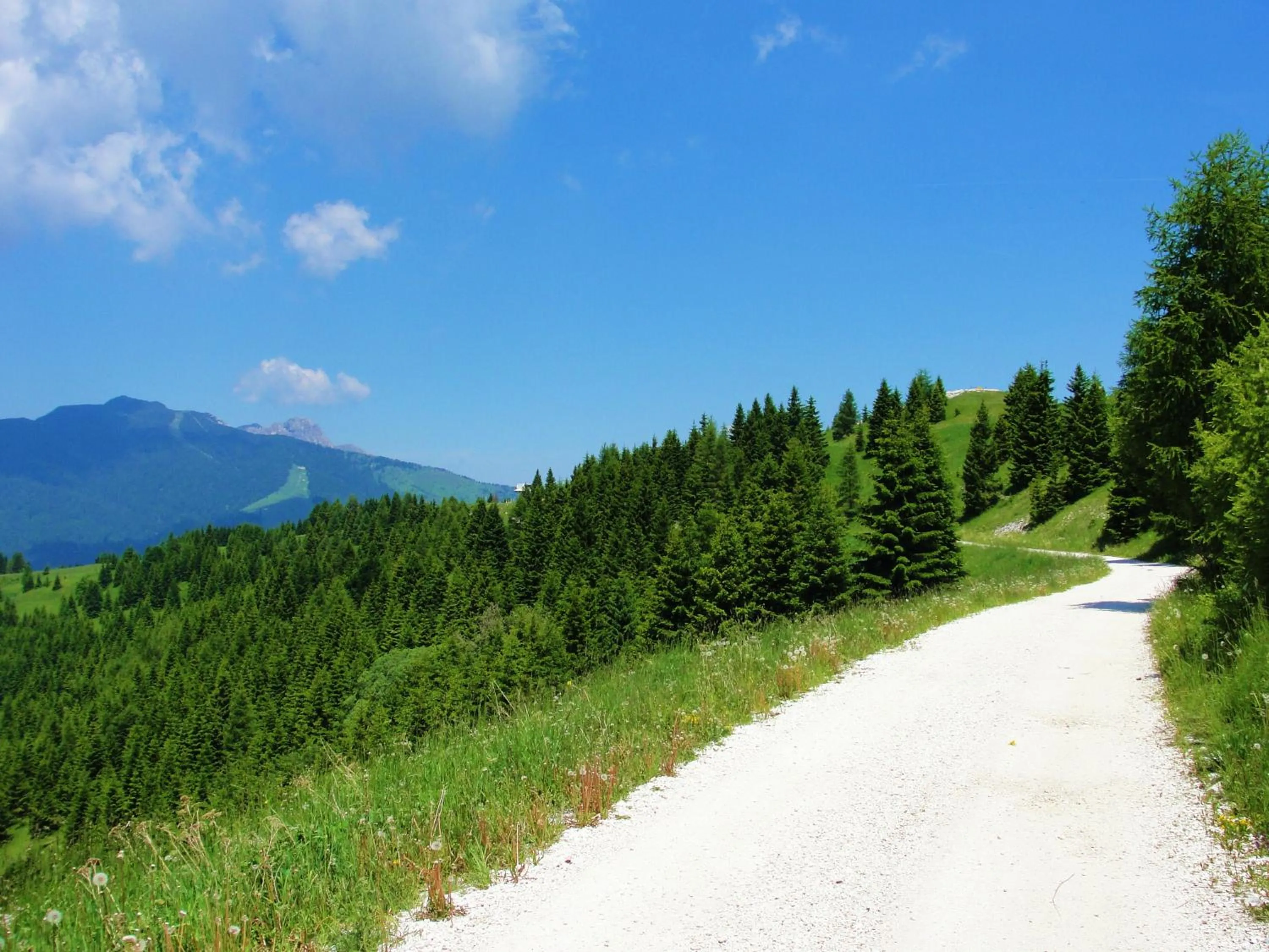 Natural landscape in Hotel du Lac Parc & Residence