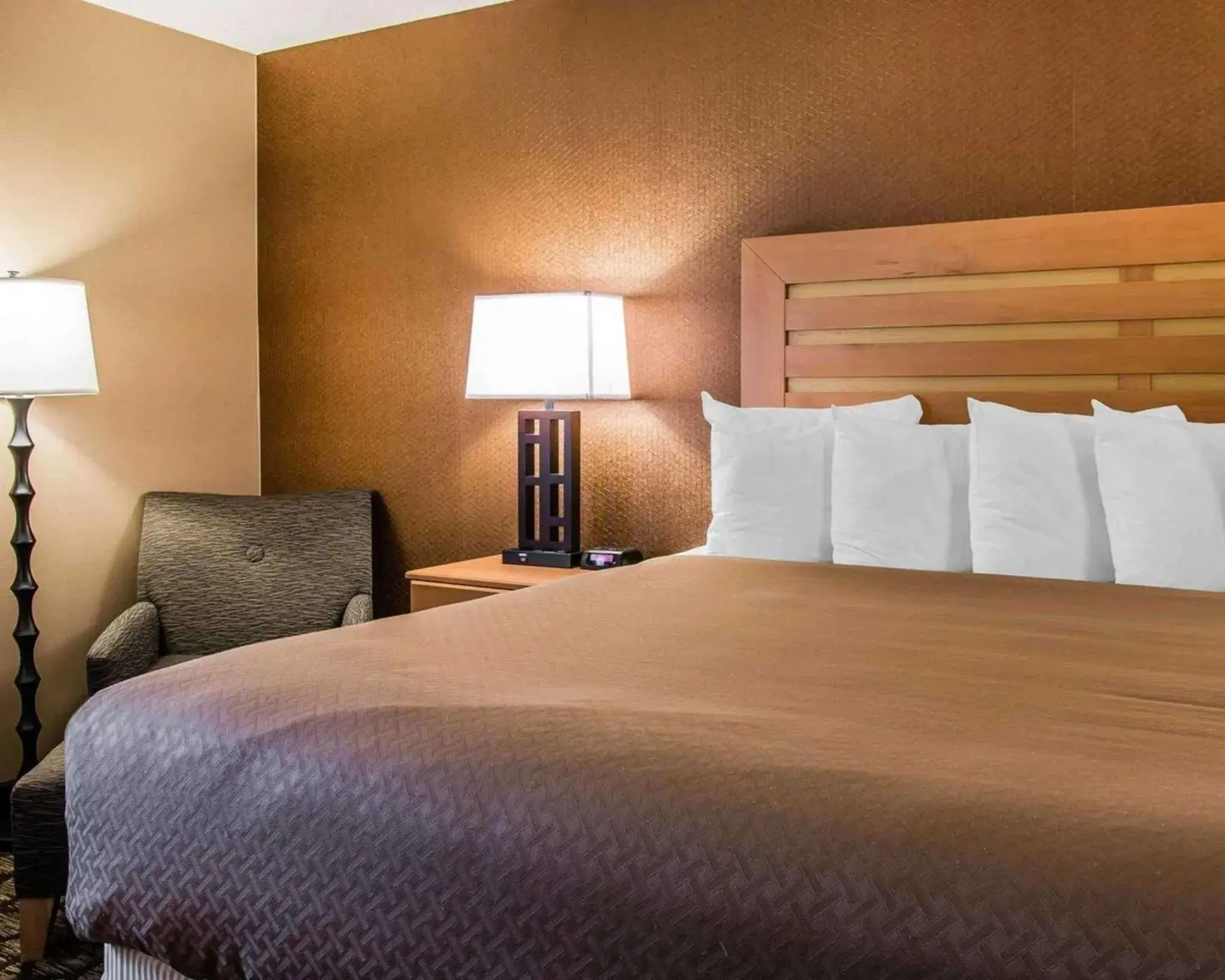 Photo of the whole room, Bed in Quality Inn & Suites Warren - Detroit Photo of the whole room, Bed in Quality Inn & Suites Warren - Detroit