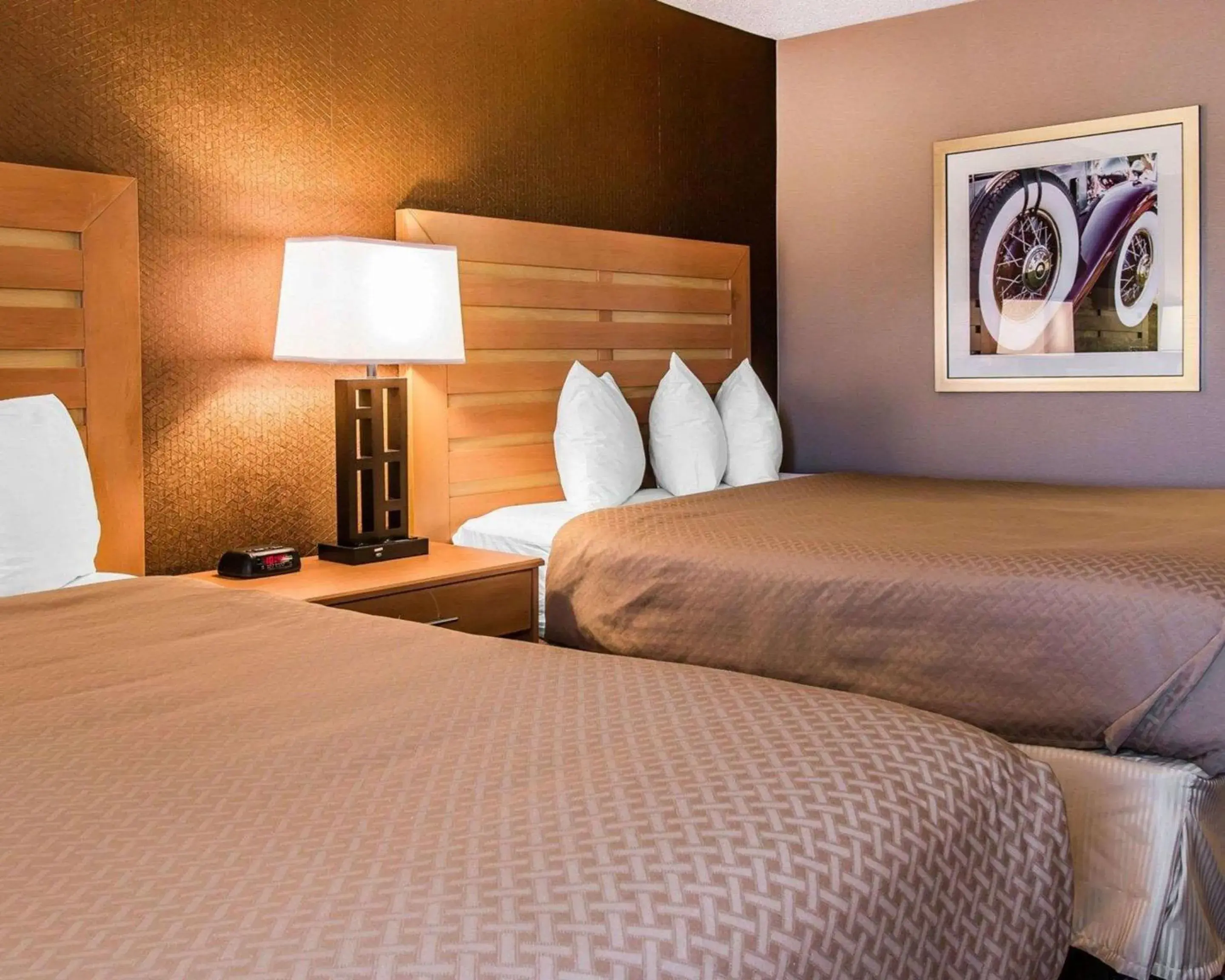 Photo of the whole room, Bed in Quality Inn & Suites Warren - Detroit Photo of the whole room, Bed in Quality Inn & Suites Warren - Detroit